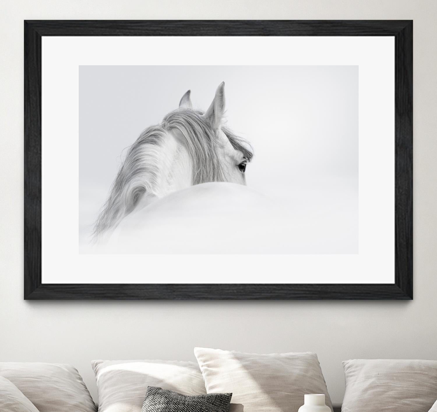 White Horse by PhotoINC Studio on GIANT ART - multicolor animals
