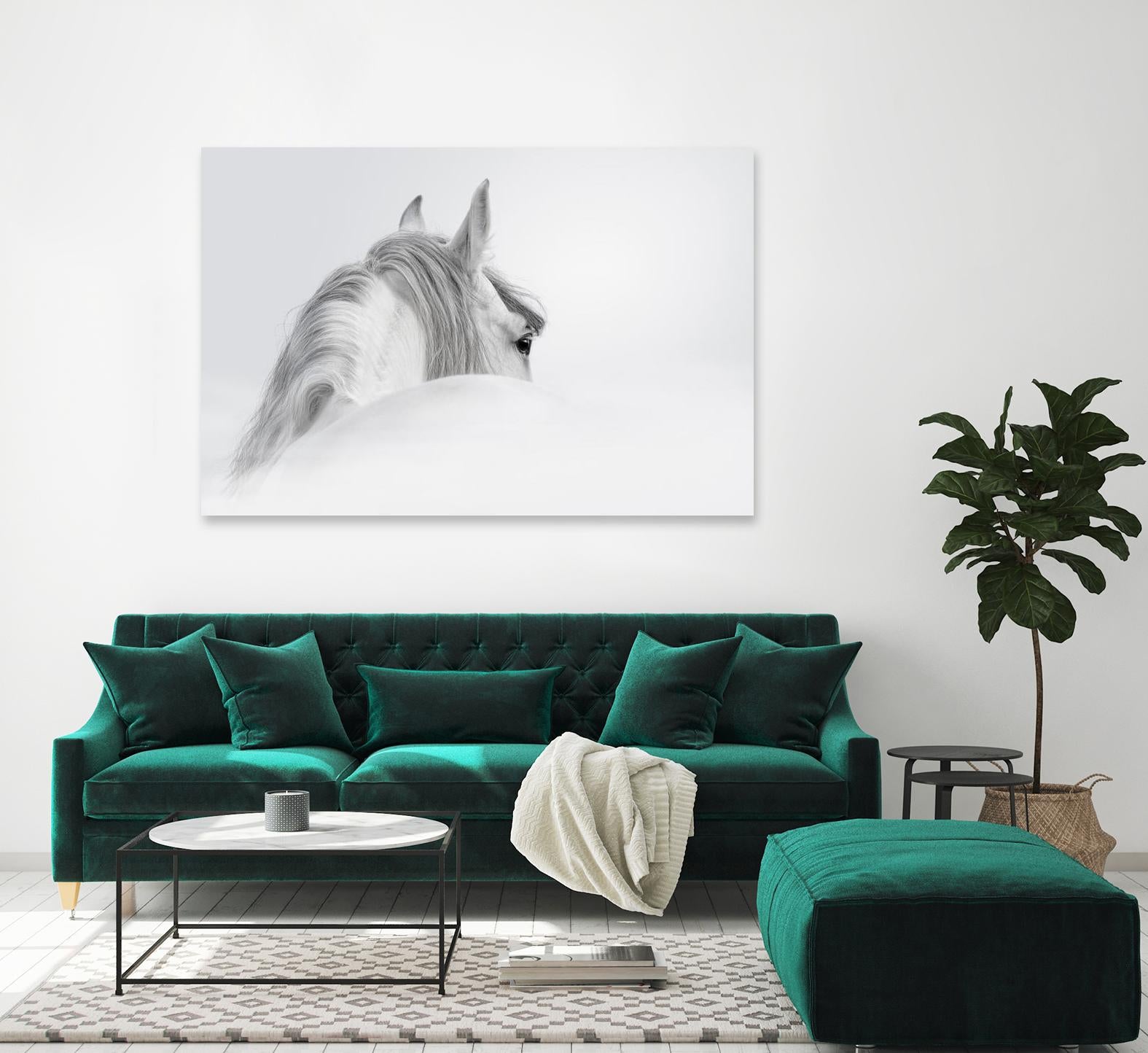 White Horse by PhotoINC Studio on GIANT ART - multicolor animals