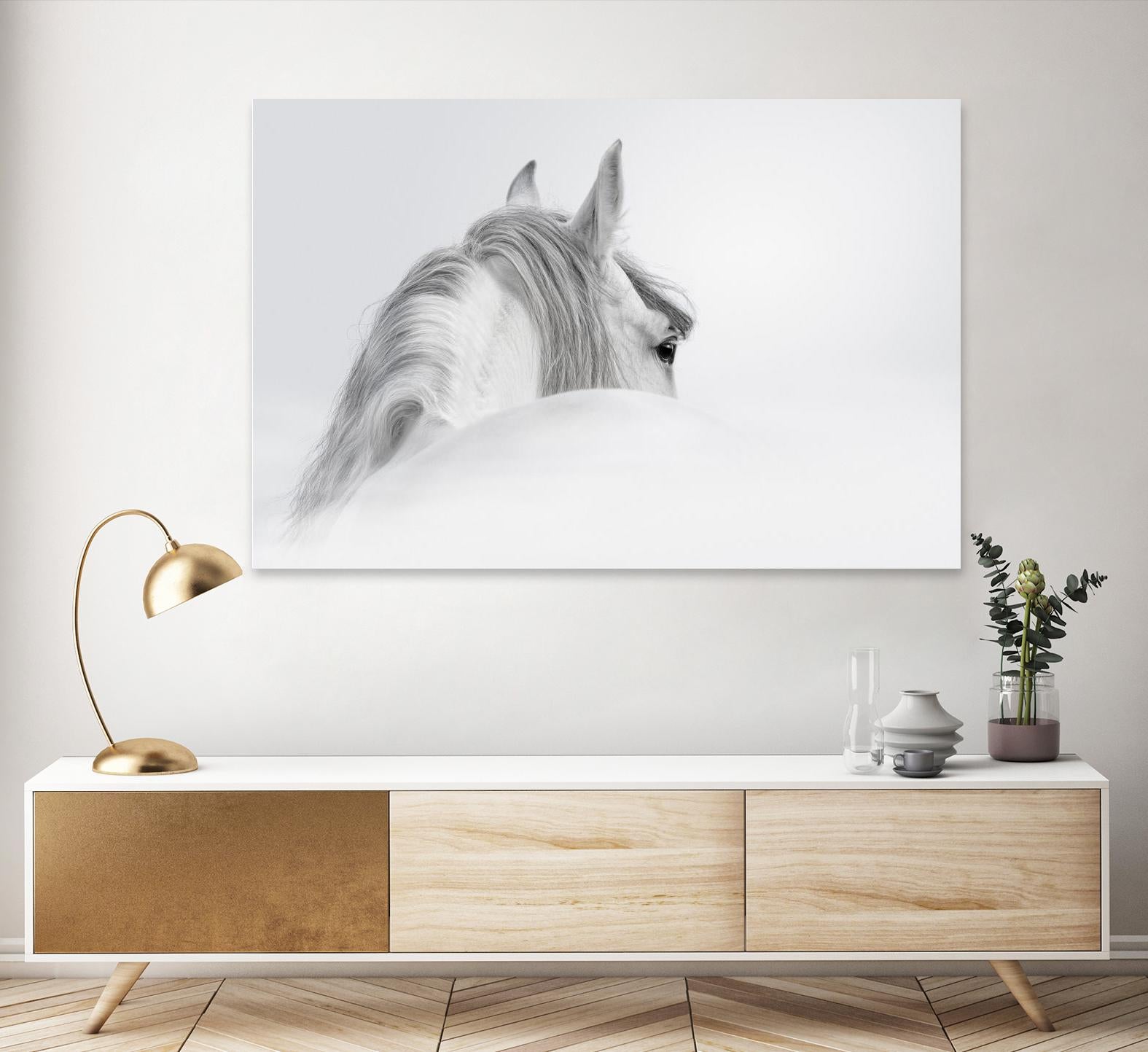 White Horse by PhotoINC Studio on GIANT ART - multicolor animals