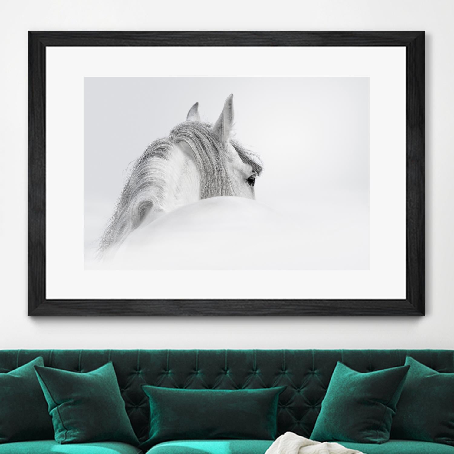 White Horse by PhotoINC Studio on GIANT ART - multicolor animals