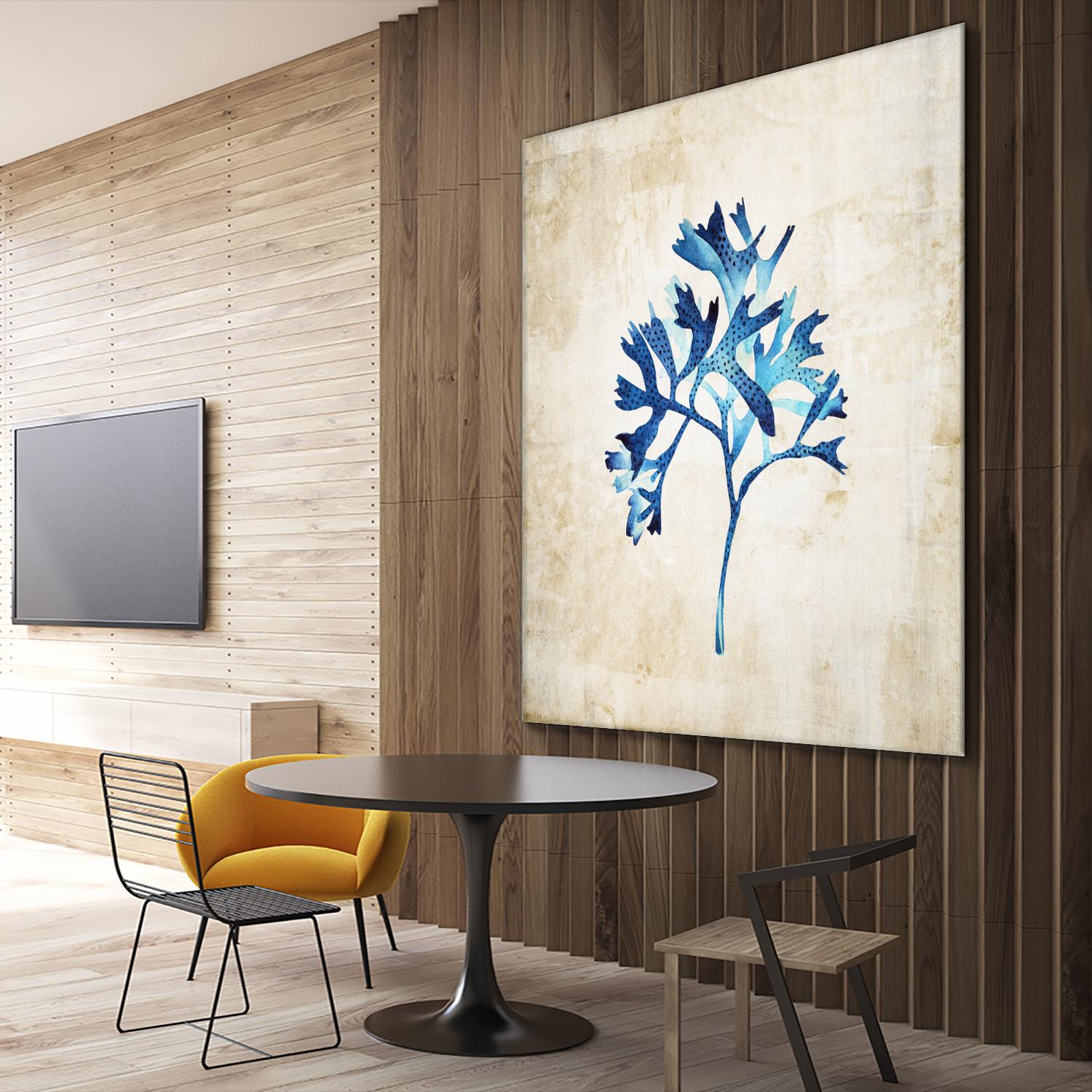 Sea life I by Incado on GIANT ART - multicolor floral/still life; contemporary