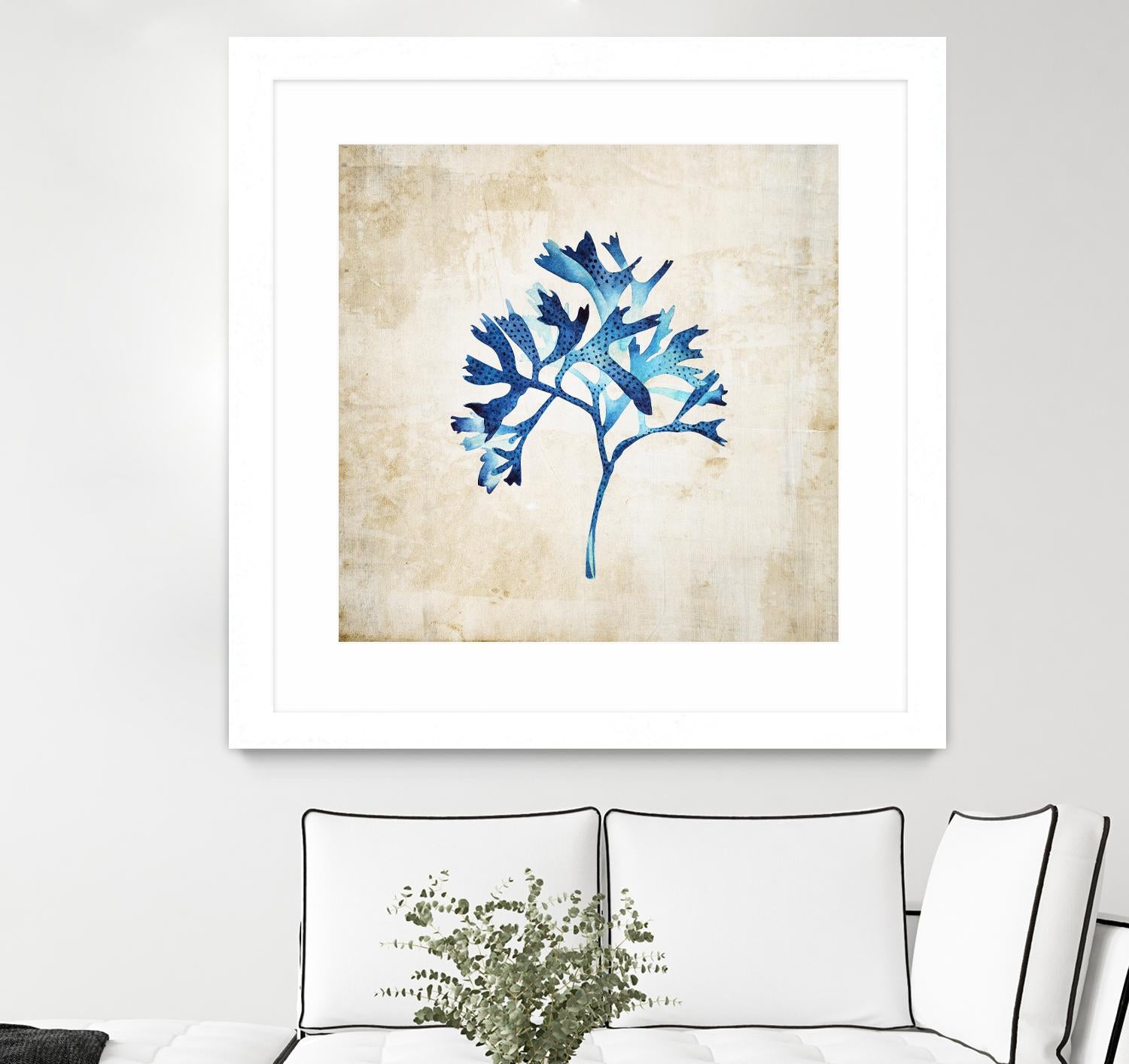 Sea life I by Incado on GIANT ART - multicolor floral/still life; contemporary