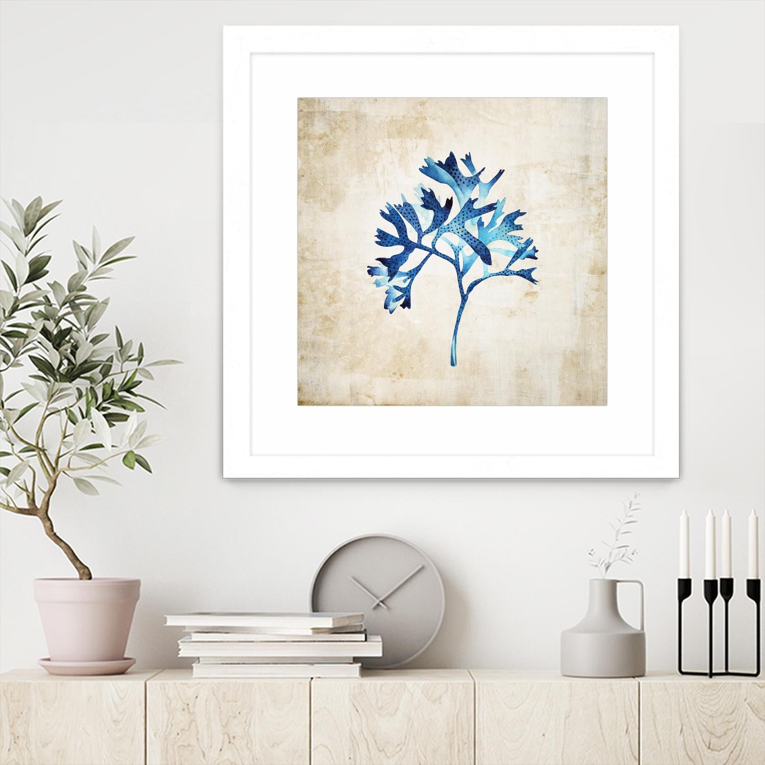 Sea life I by Incado on GIANT ART - multicolor floral/still life; contemporary