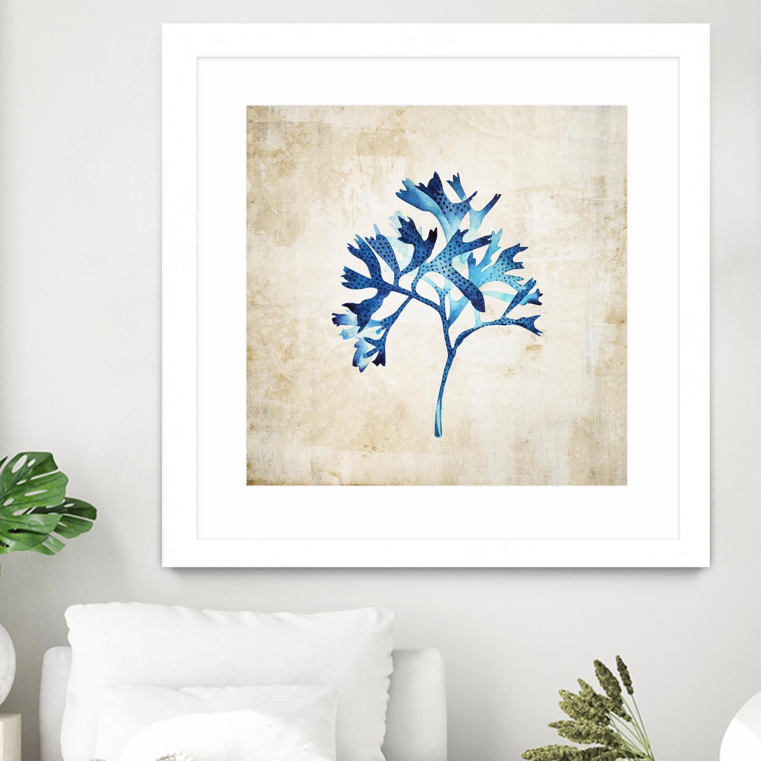 Sea life I by Incado on GIANT ART - multicolor floral/still life; contemporary