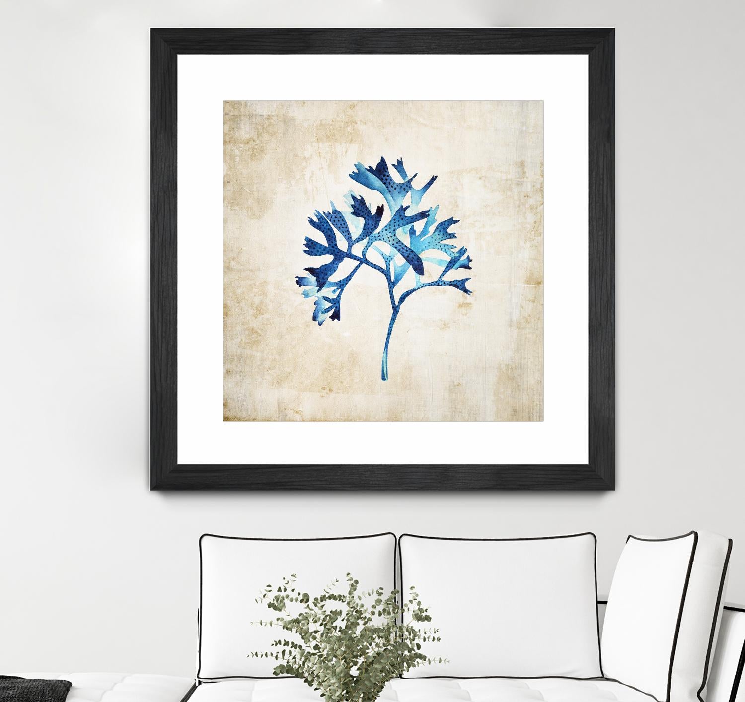 Sea life I by Incado on GIANT ART - multicolor floral/still life; contemporary