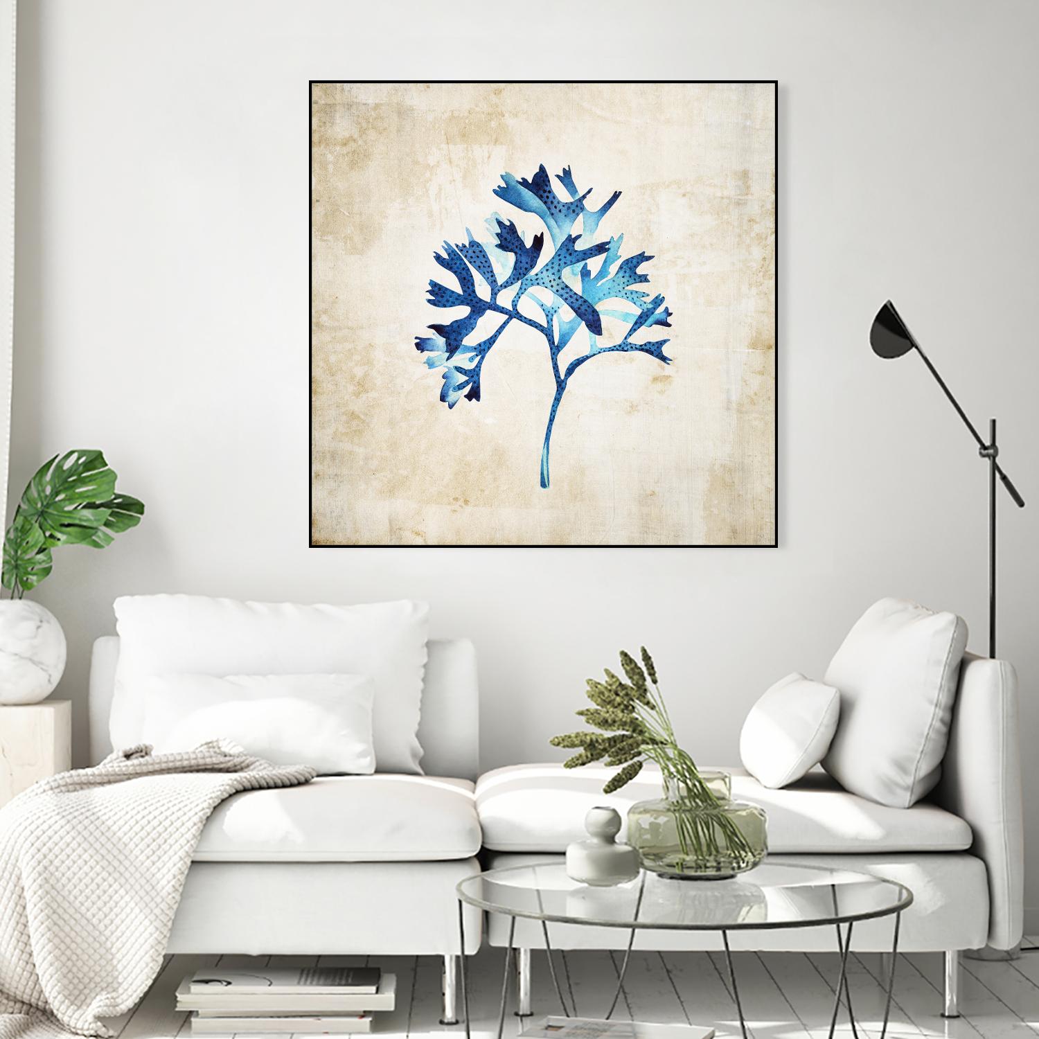 Sea life I by Incado on GIANT ART - multicolor floral/still life; contemporary