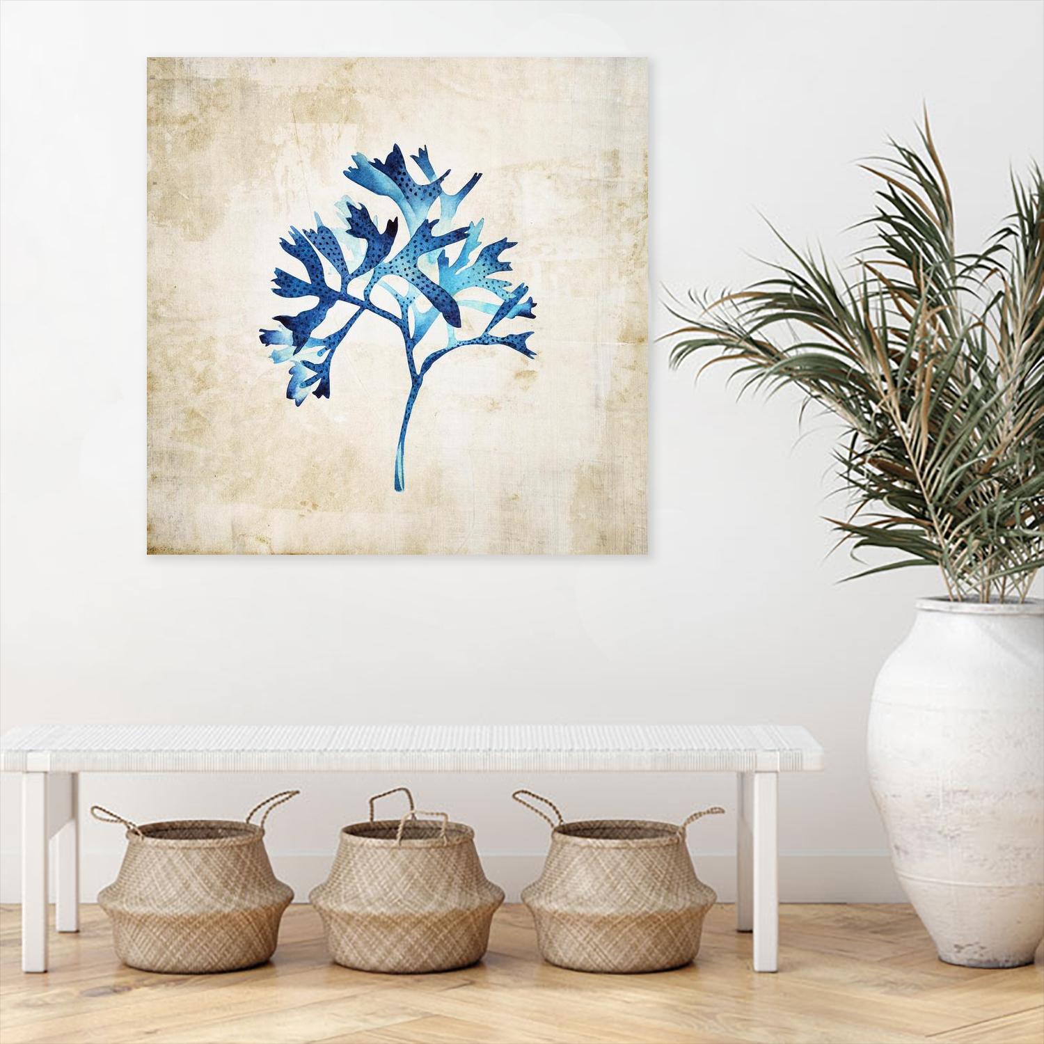 Sea life I by Incado on GIANT ART - multicolor floral/still life; contemporary