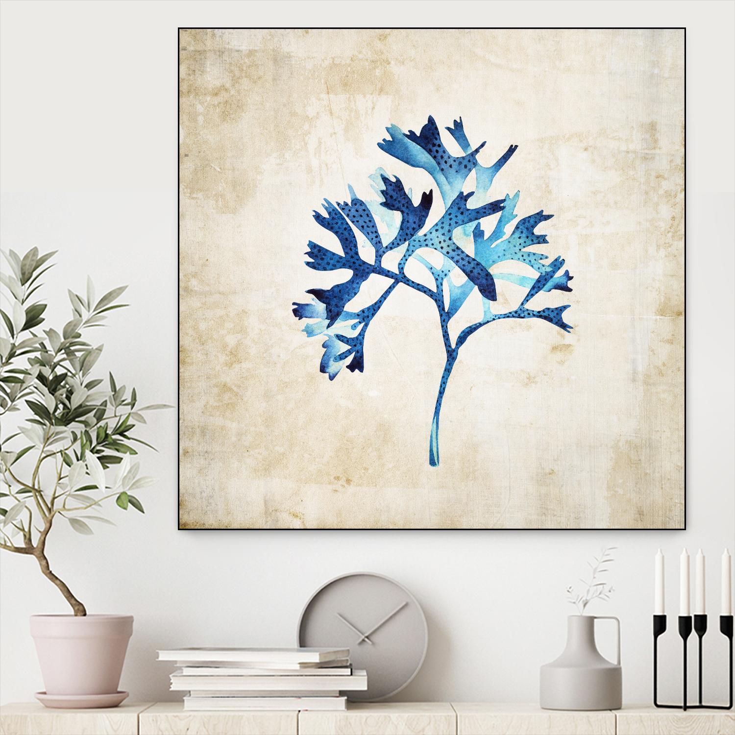 Sea life I by Incado on GIANT ART - multicolor floral/still life; contemporary