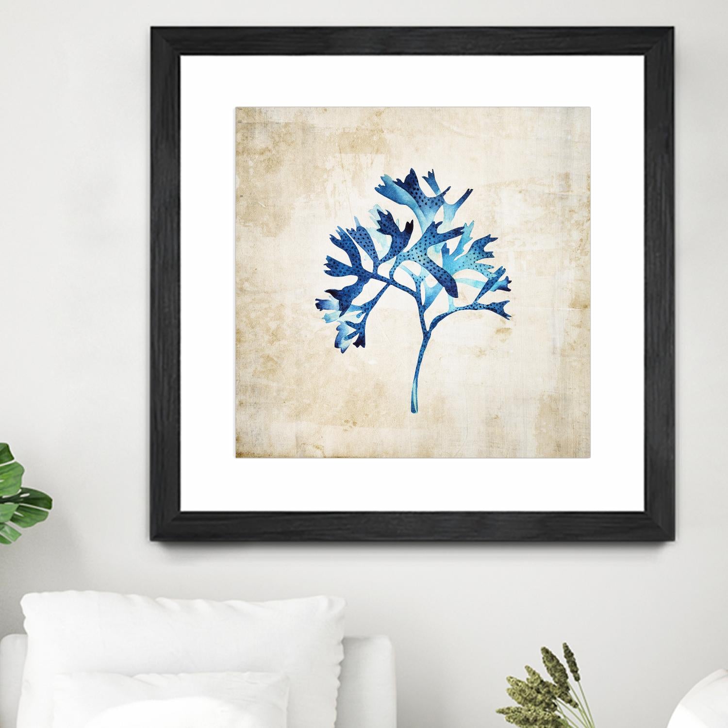 Sea life I by Incado on GIANT ART - multicolor floral/still life; contemporary