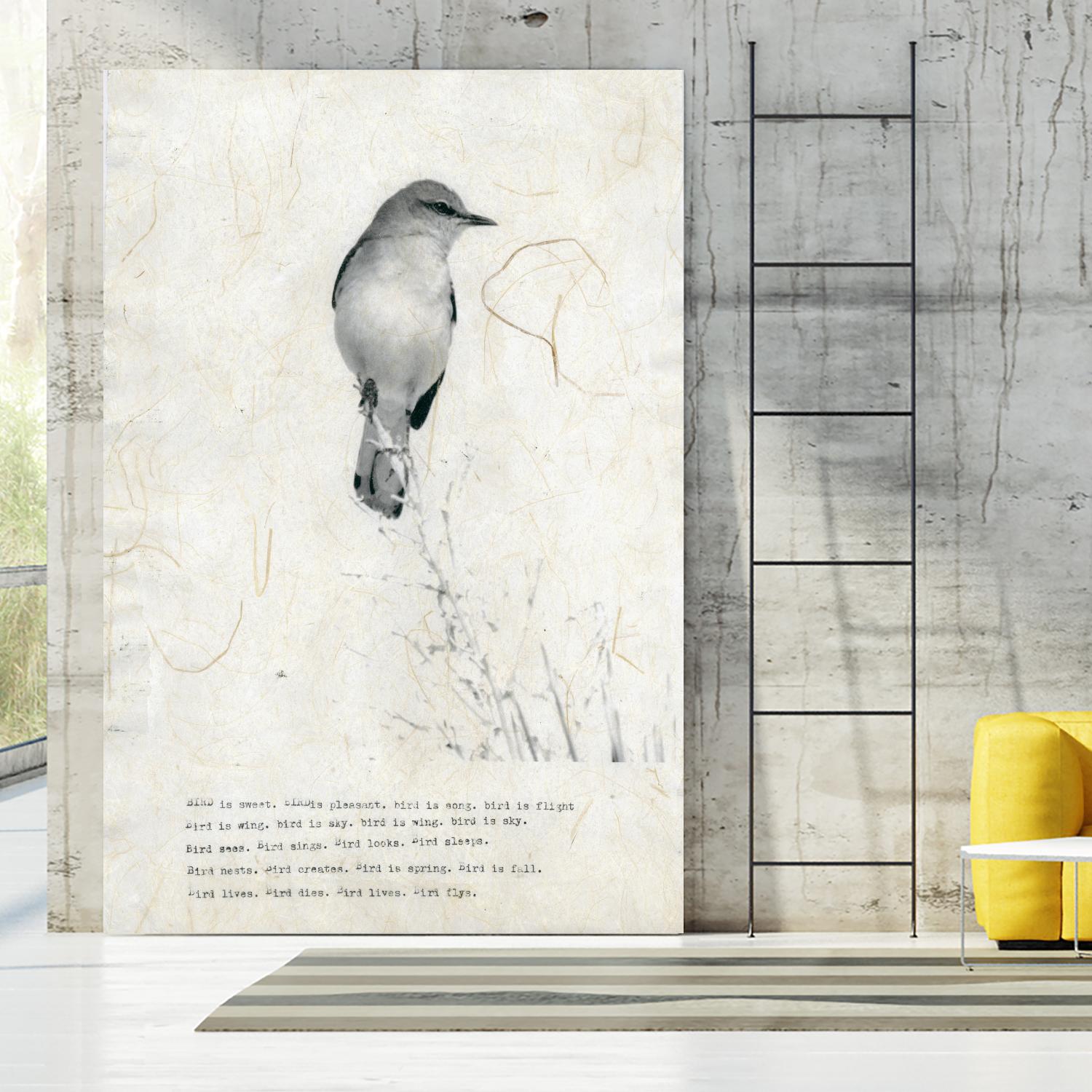 Bird is sweet by TypeLike on GIANT ART - multicolor animals