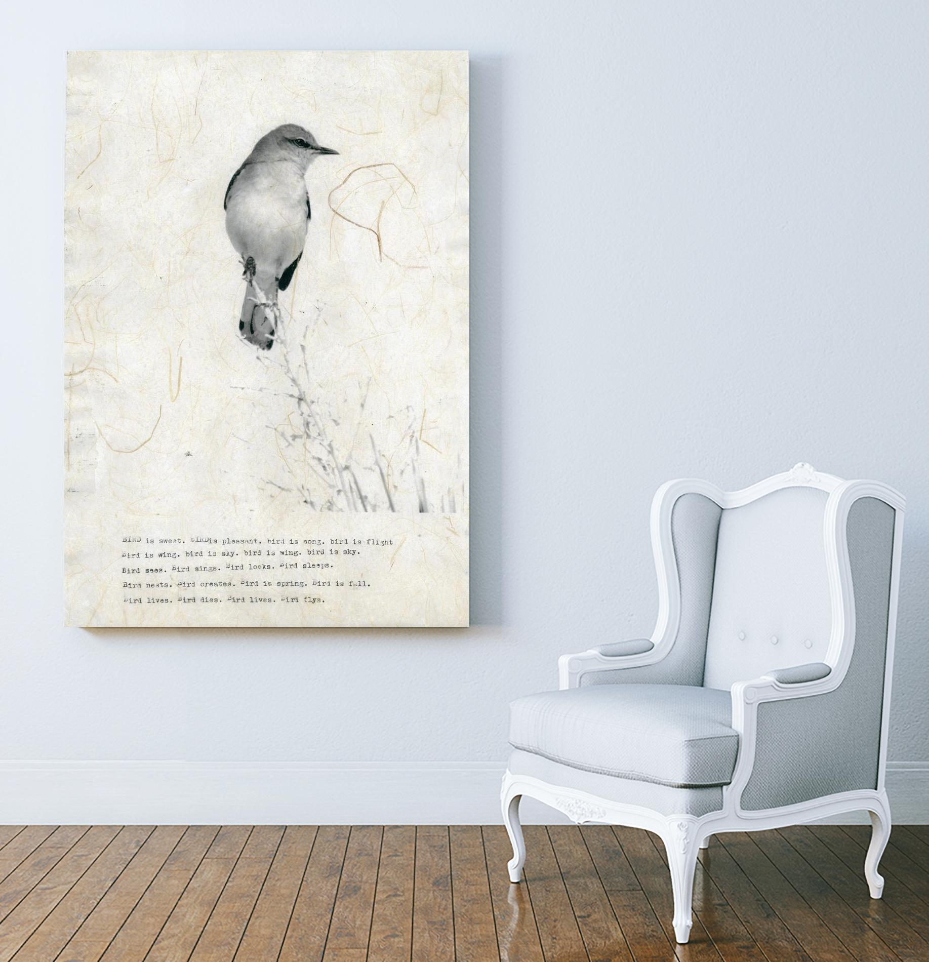 Bird is sweet by TypeLike on GIANT ART - multicolor animals