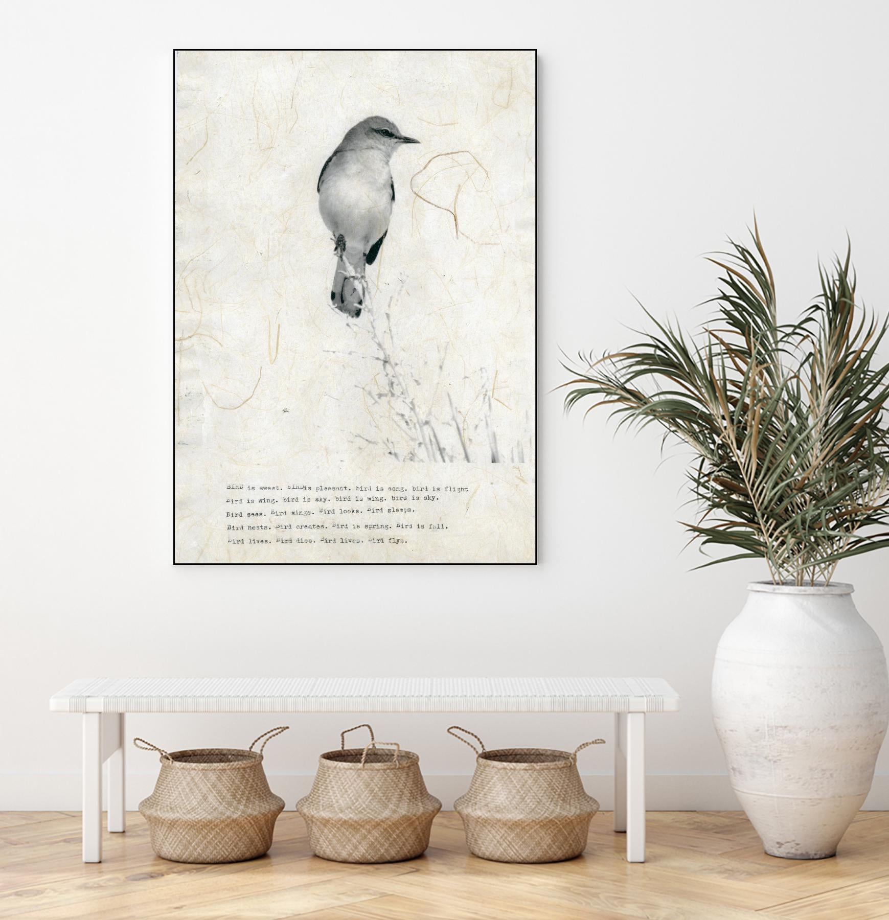 Bird is sweet by TypeLike on GIANT ART - multicolor animals