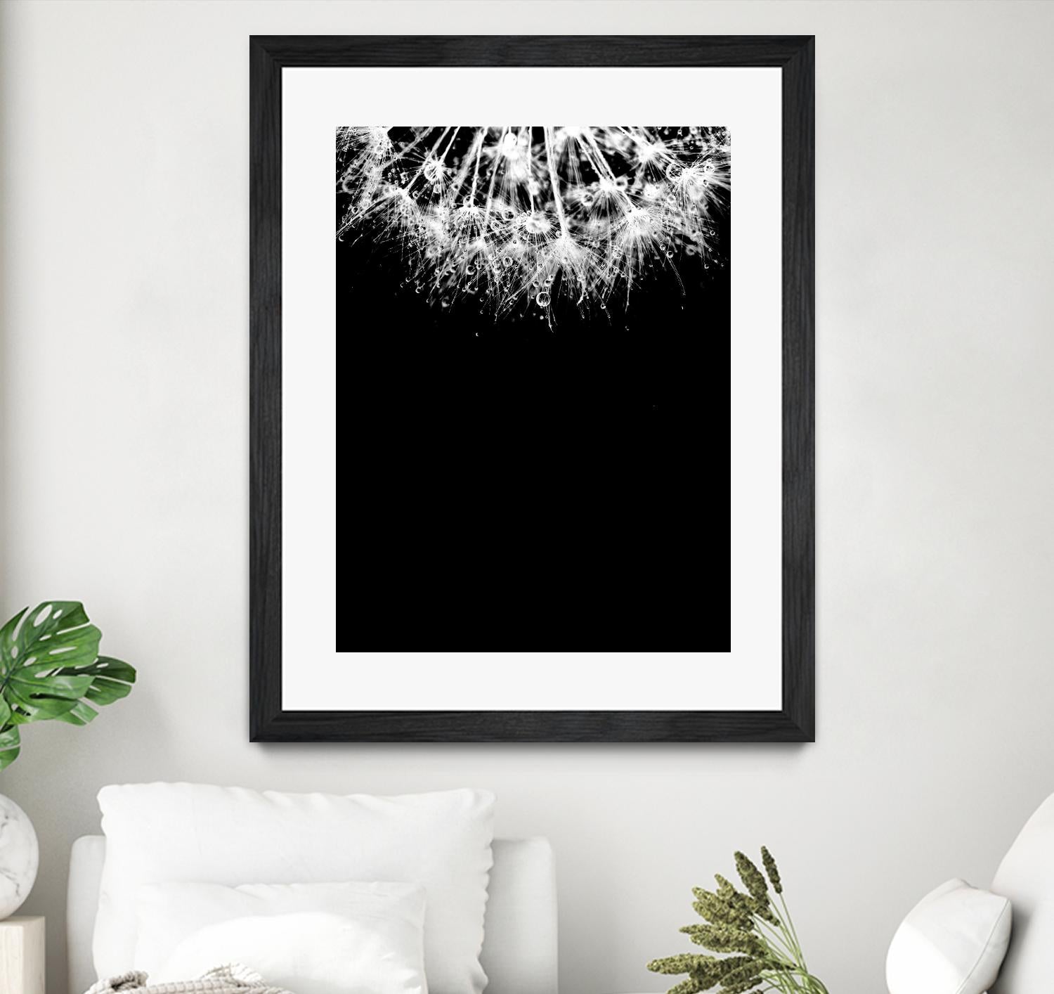 Crystal II by Incado on GIANT ART - multicolor photography; floral/still life