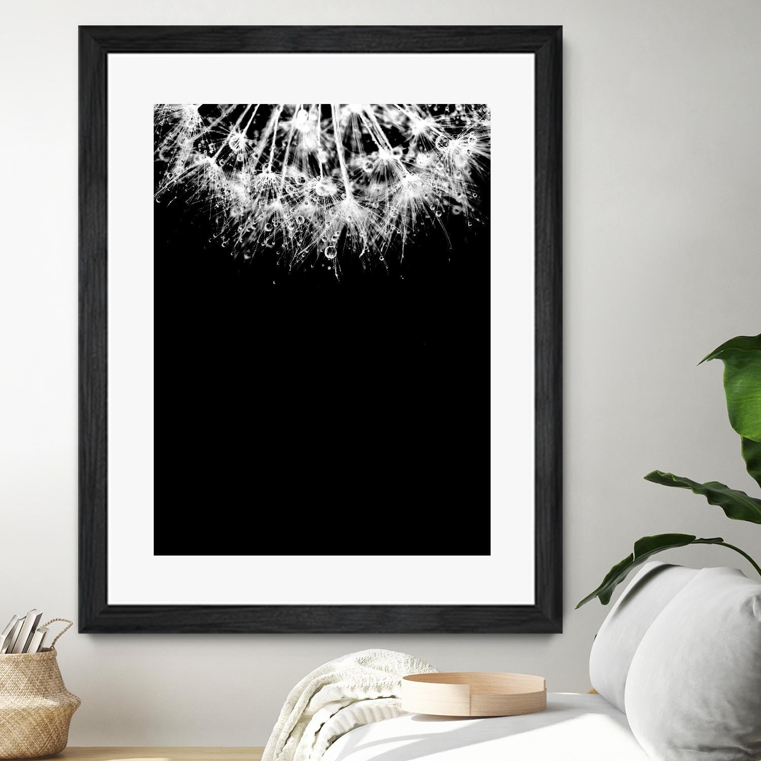 Crystal II by Incado on GIANT ART - multicolor photography; floral/still life