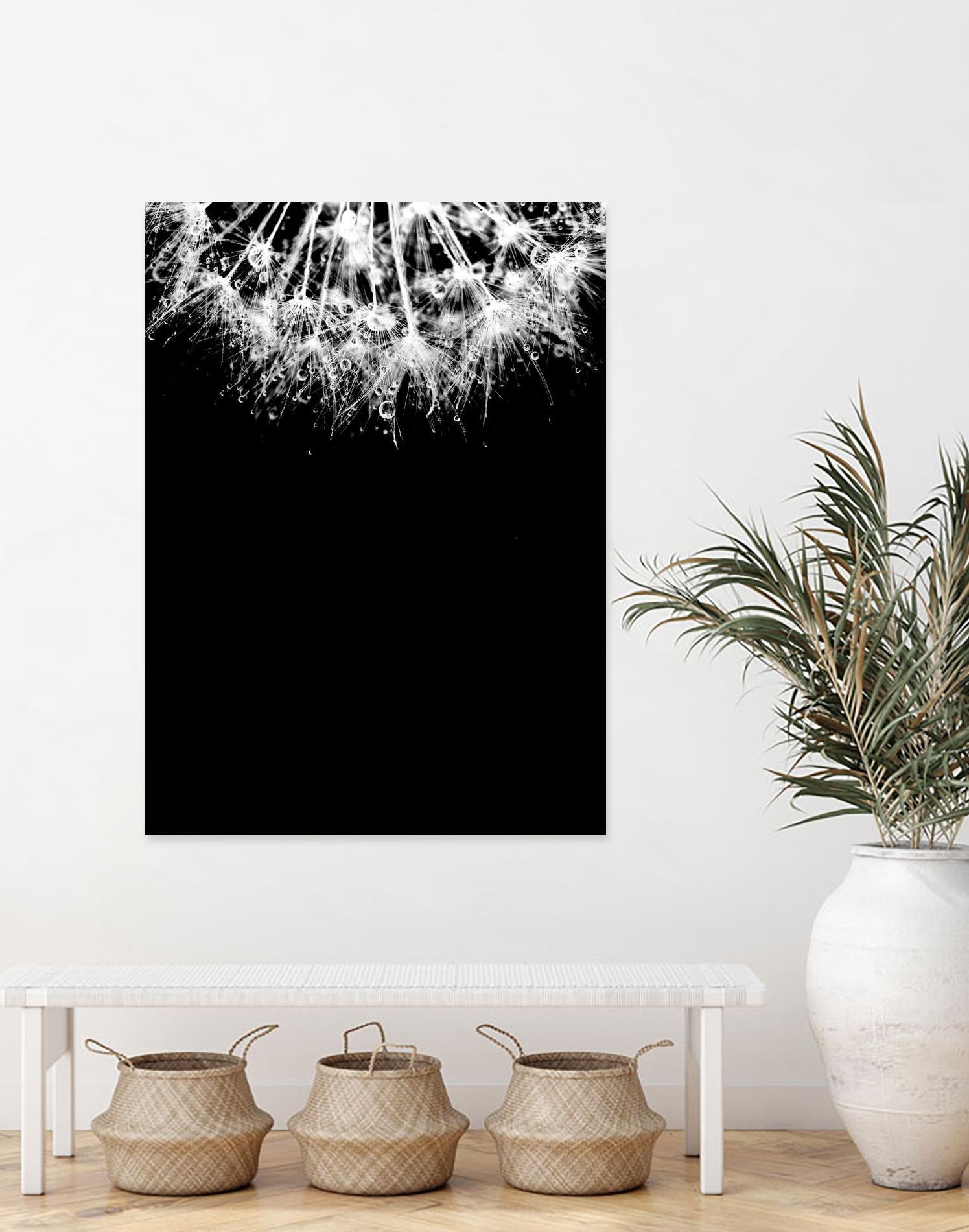 Crystal II by Incado on GIANT ART - multicolor photography; floral/still life