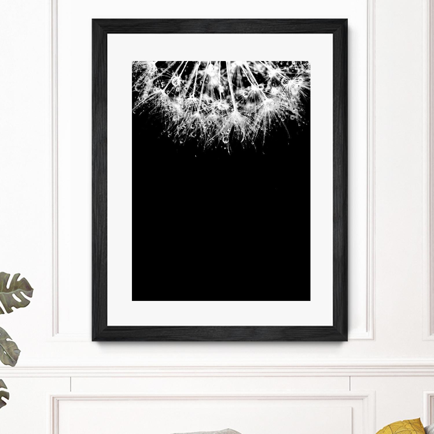 Crystal II by Incado on GIANT ART - multicolor photography; floral/still life