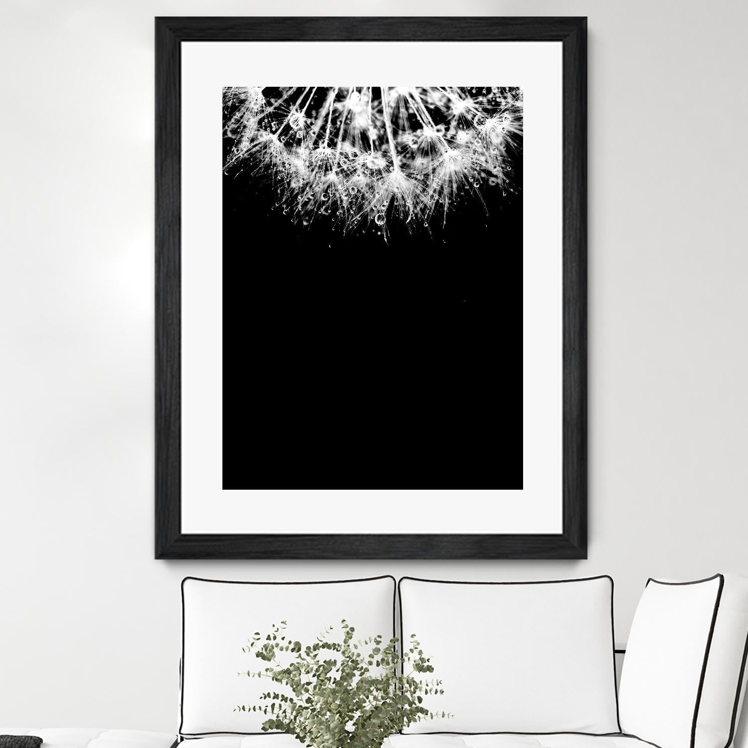 Crystal II by Incado on GIANT ART - multicolor photography; floral/still life