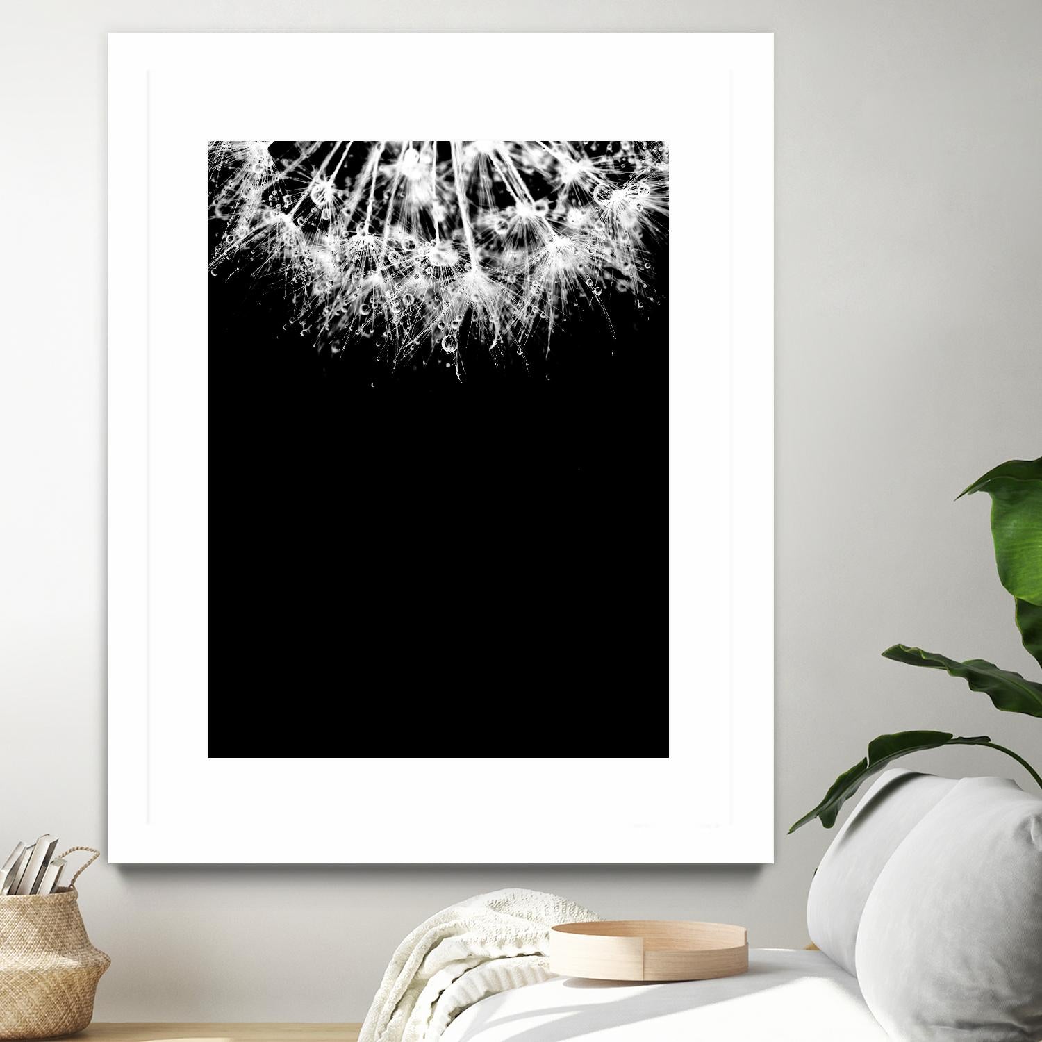 Crystal II by Incado on GIANT ART - multicolor photography; floral/still life