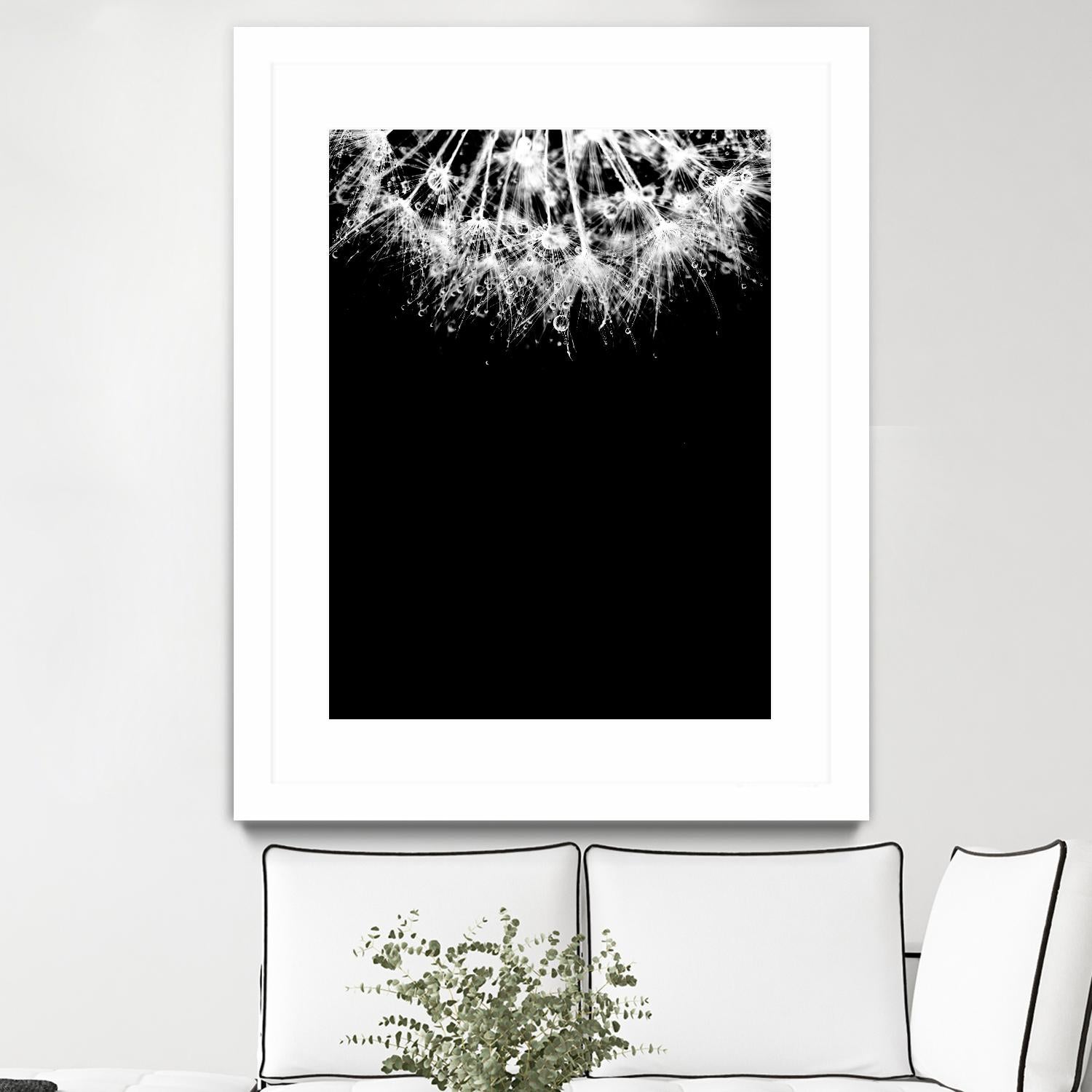 Crystal II by Incado on GIANT ART - multicolor photography; floral/still life