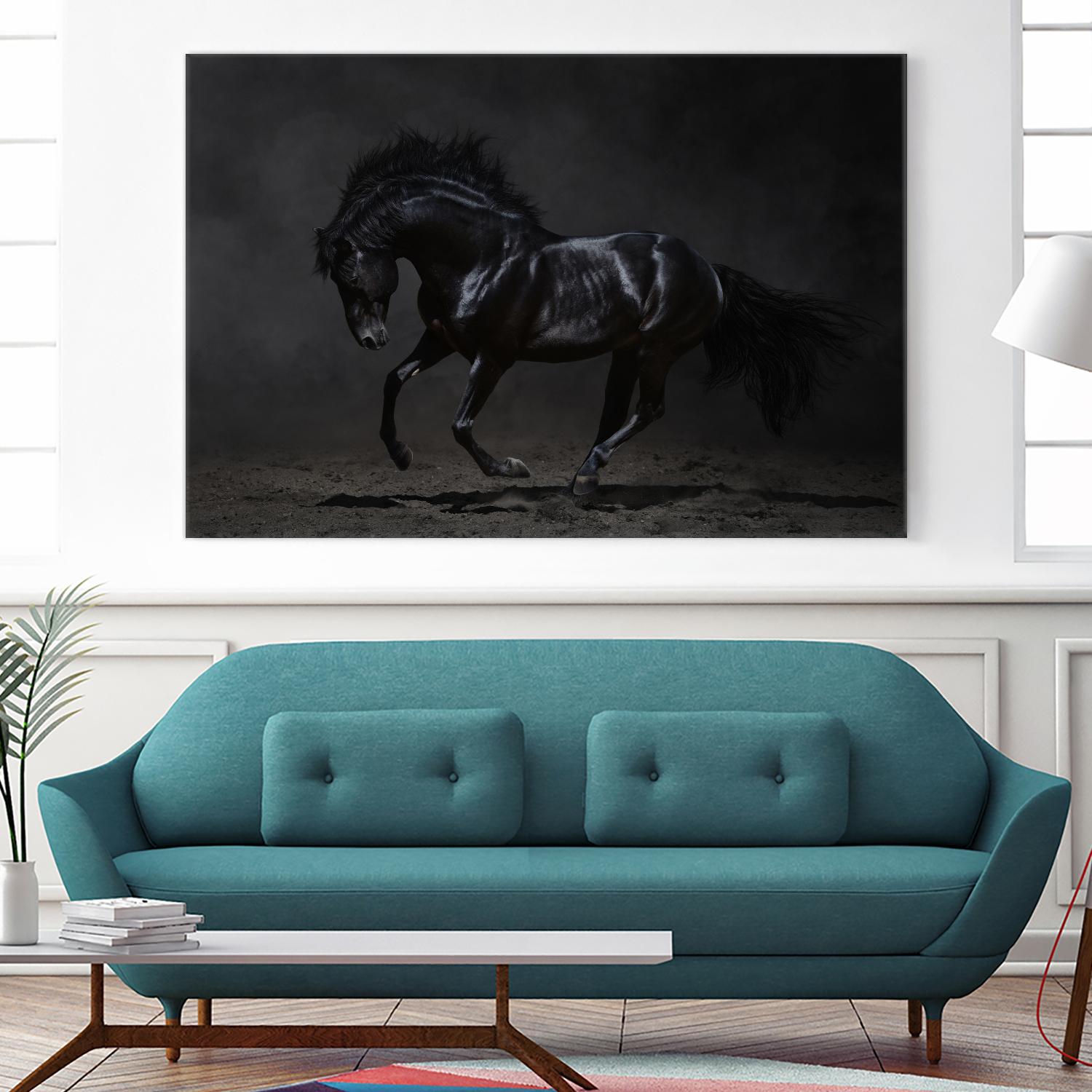 Onyx by PhotoINC Studio on GIANT ART - multicolor photography; animals