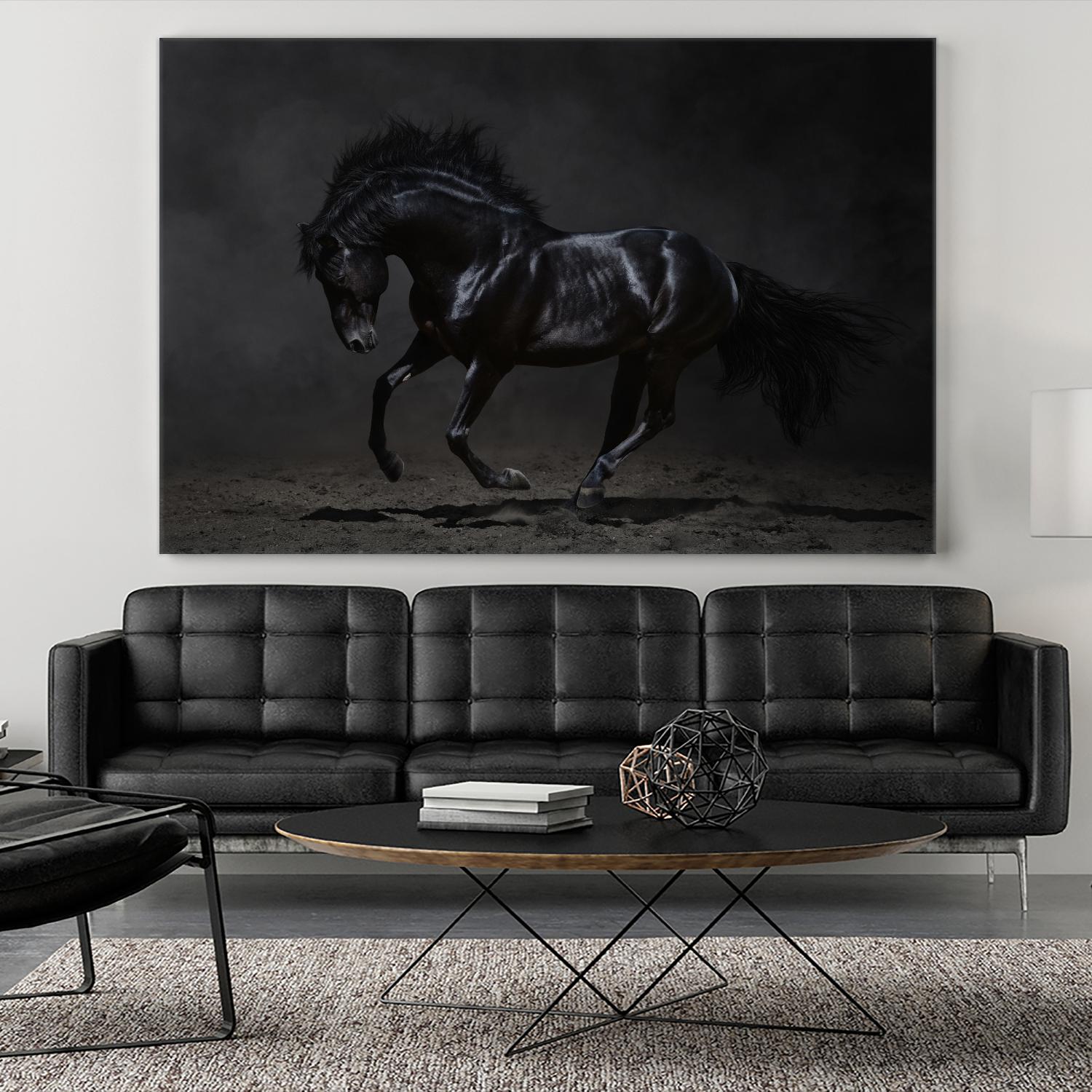 Onyx by PhotoINC Studio on GIANT ART - multicolor photography; animals