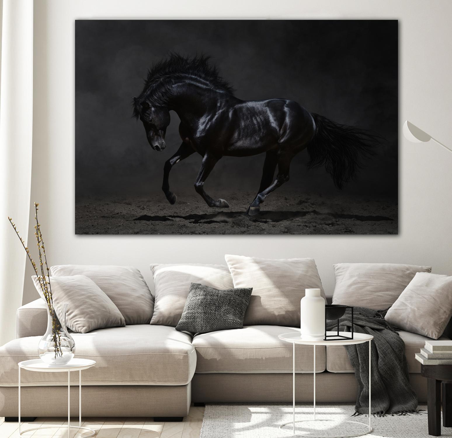 Onyx by PhotoINC Studio on GIANT ART - multicolor photography; animals