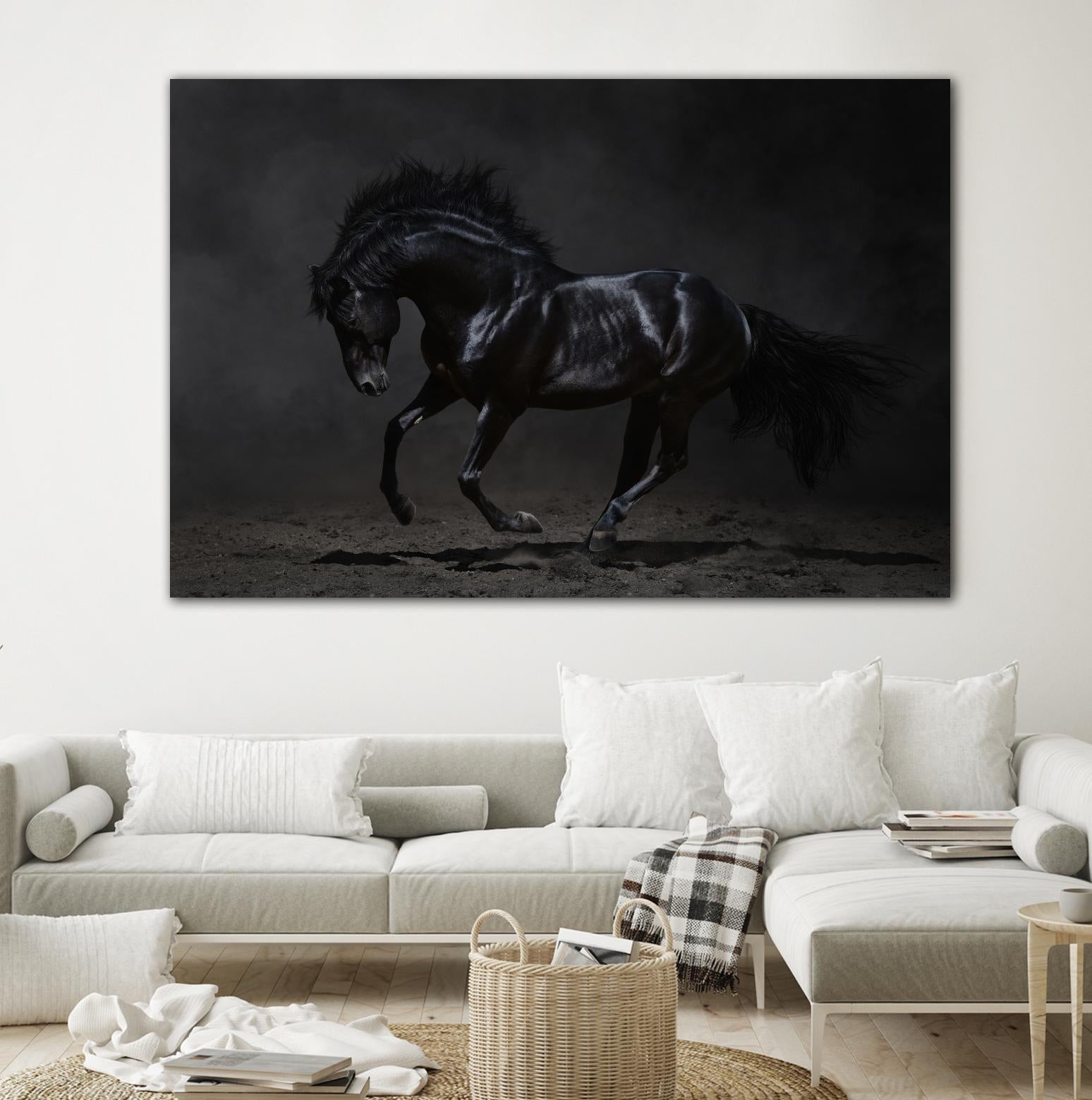Onyx by PhotoINC Studio on GIANT ART - multicolor photography; animals