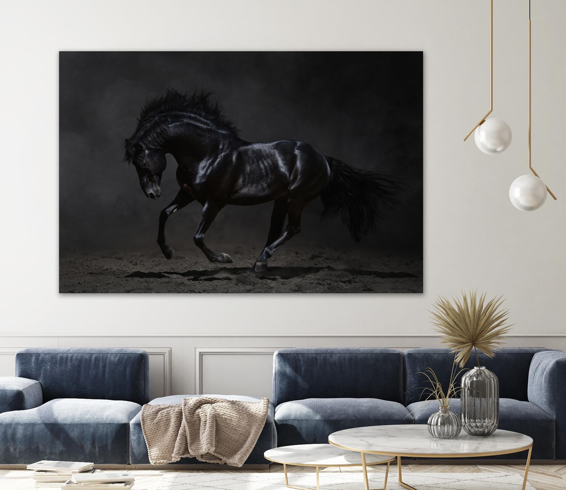 Onyx by PhotoINC Studio on GIANT ART - multicolor photography; animals