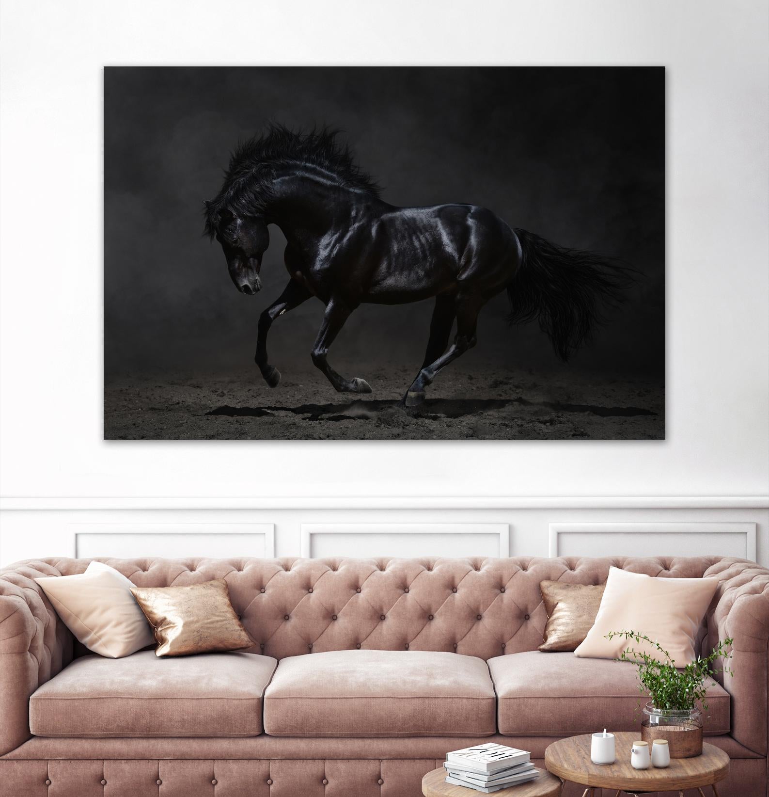 Onyx by PhotoINC Studio on GIANT ART - multicolor photography; animals
