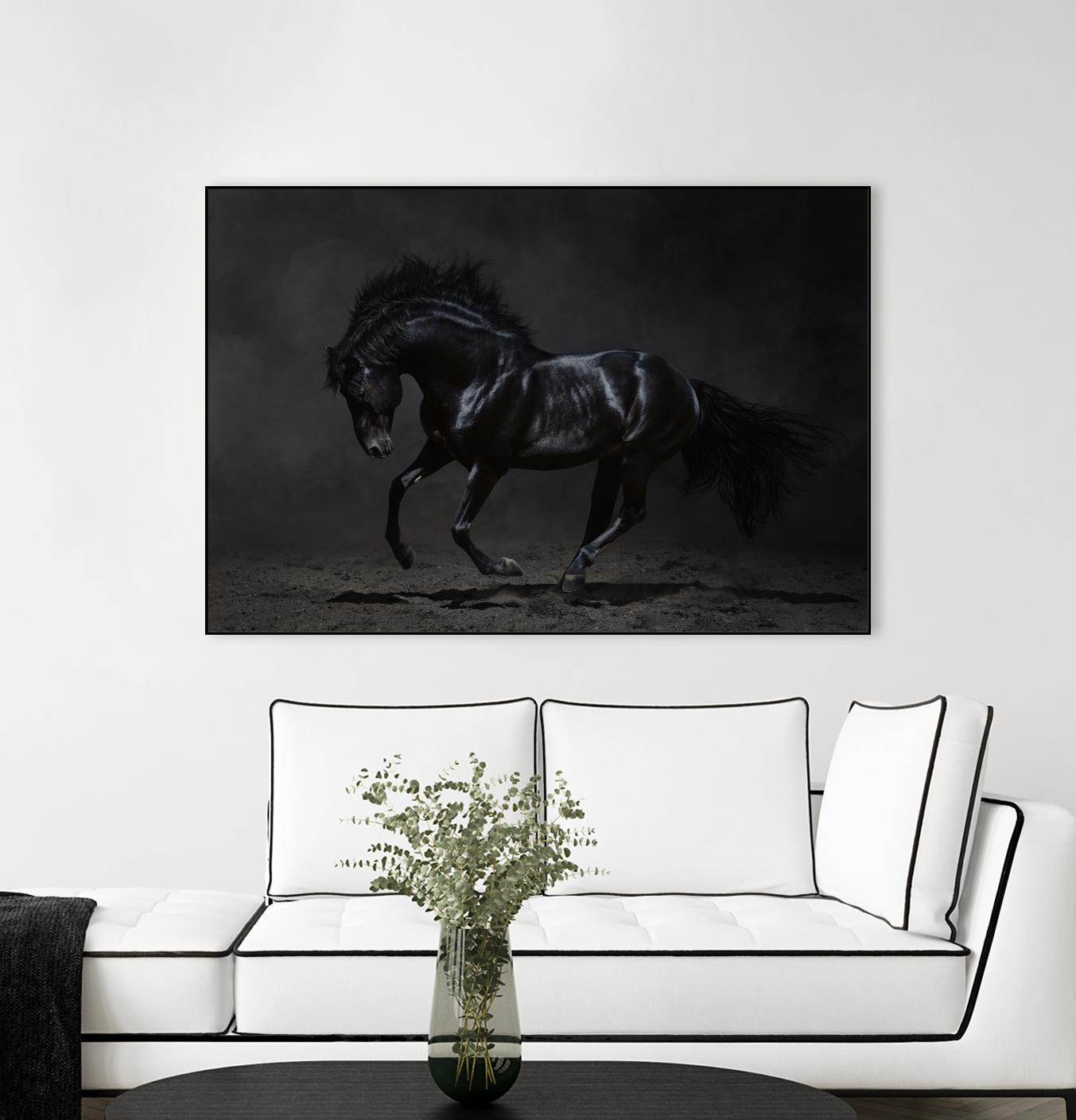Onyx by PhotoINC Studio on GIANT ART - multicolor photography; animals