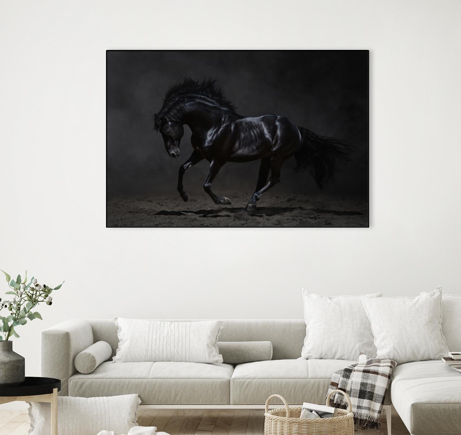 Onyx by PhotoINC Studio on GIANT ART - multicolor photography; animals