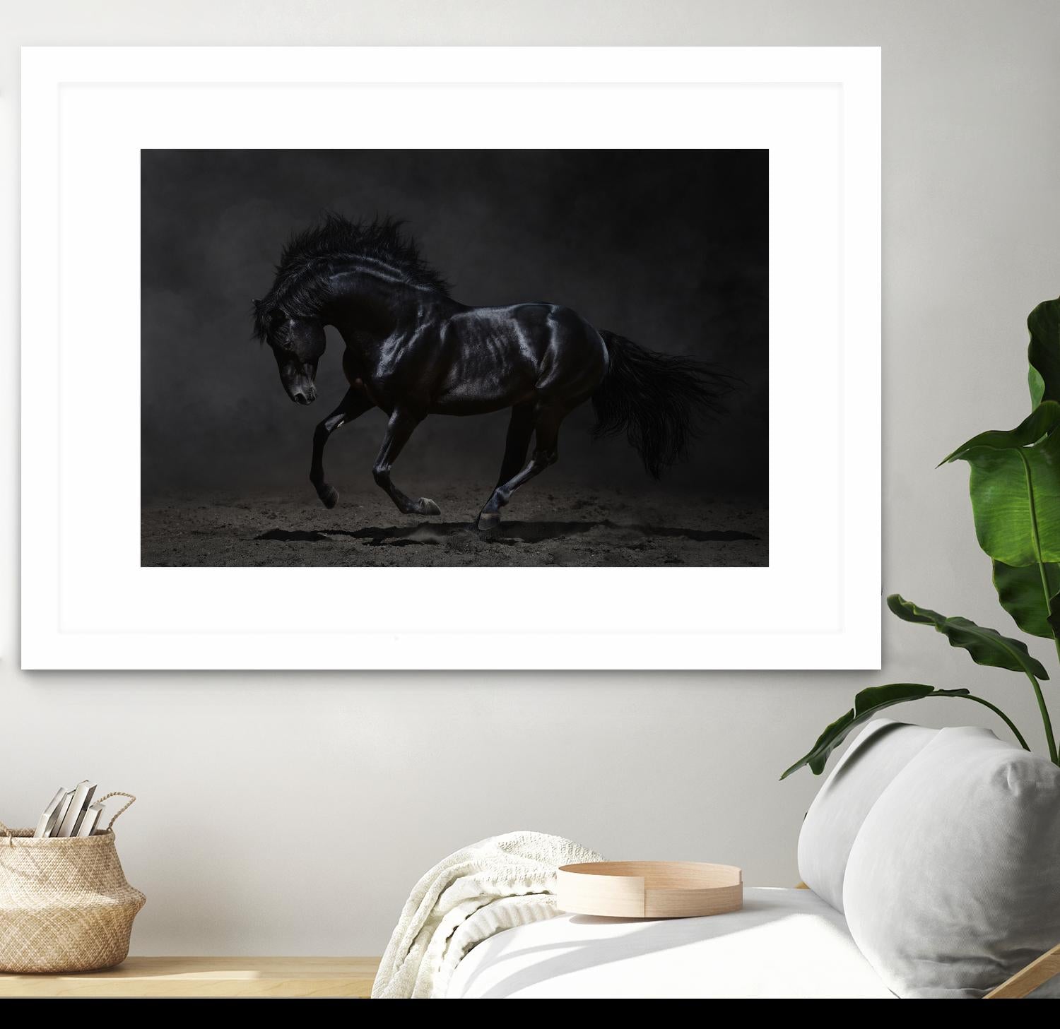 Onyx by PhotoINC Studio on GIANT ART - multicolor photography; animals