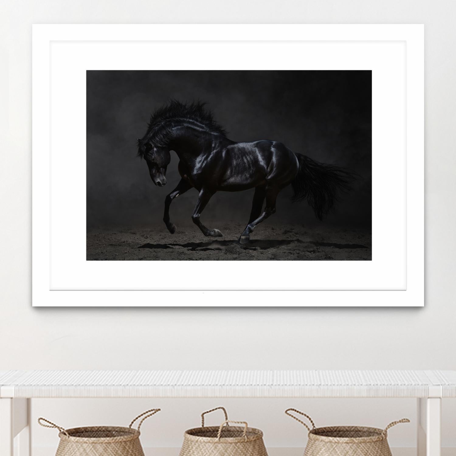 Onyx by PhotoINC Studio on GIANT ART - multicolor photography; animals