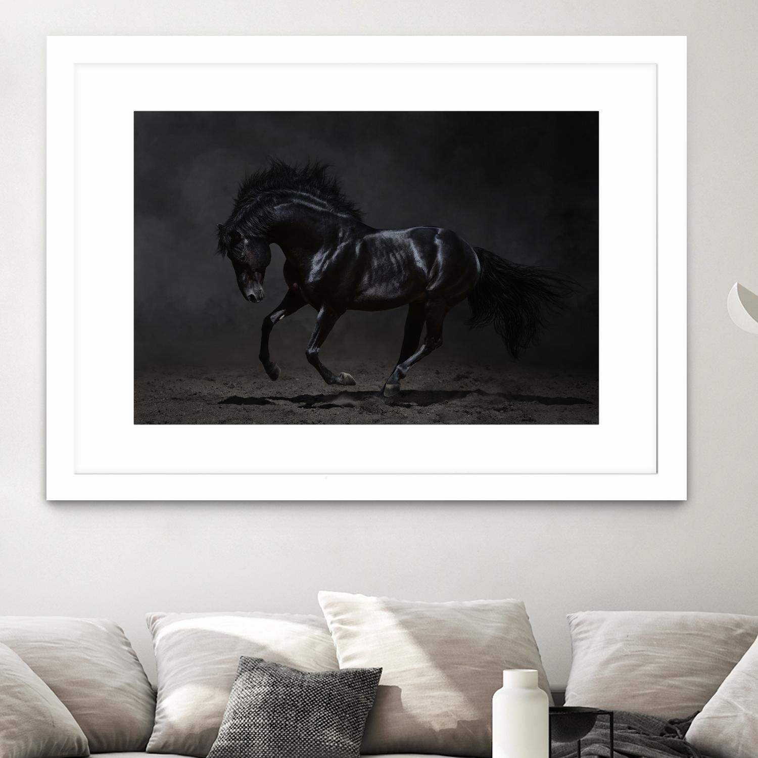Onyx by PhotoINC Studio on GIANT ART - multicolor photography; animals