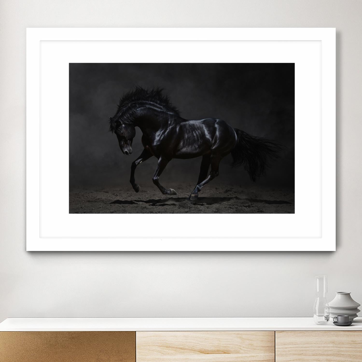 Onyx by PhotoINC Studio on GIANT ART - multicolor photography; animals