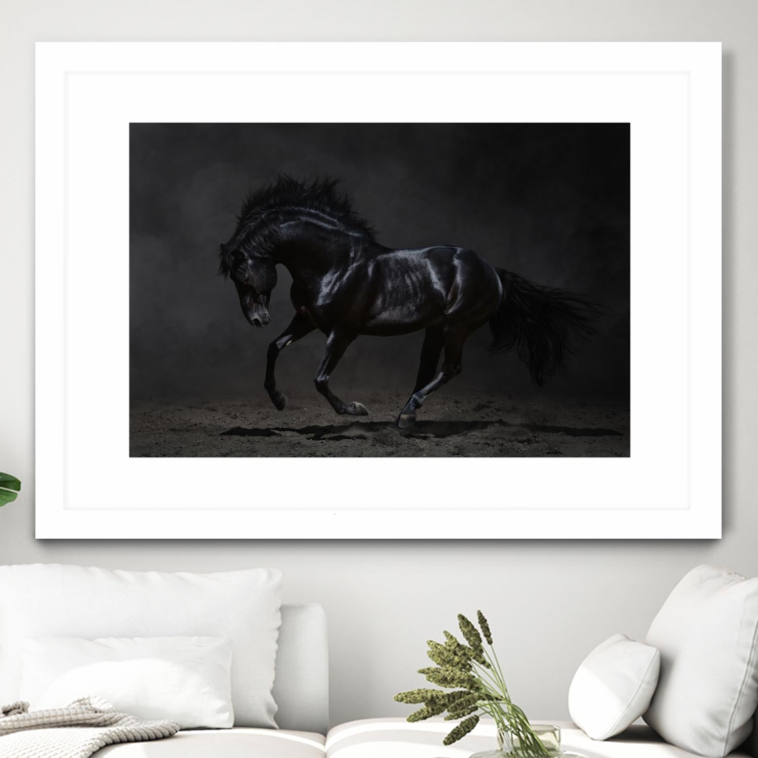 Onyx by PhotoINC Studio on GIANT ART - multicolor photography; animals