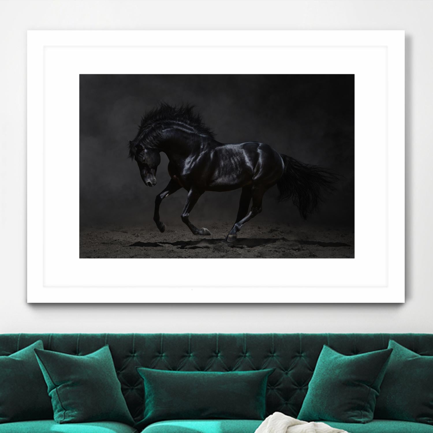 Onyx by PhotoINC Studio on GIANT ART - multicolor photography; animals
