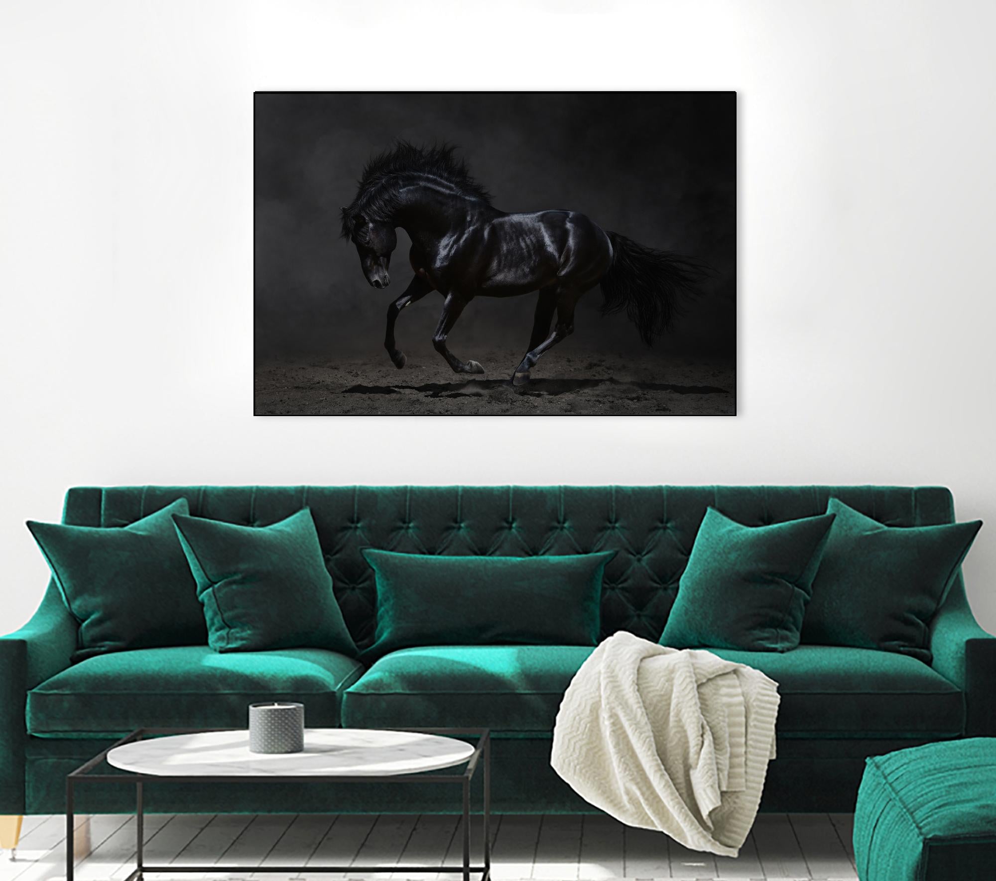Onyx by PhotoINC Studio on GIANT ART - multicolor photography; animals