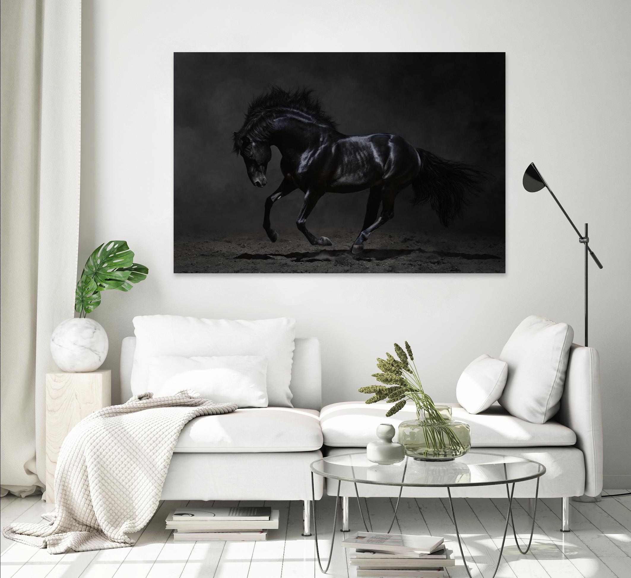 Onyx by PhotoINC Studio on GIANT ART - multicolor photography; animals