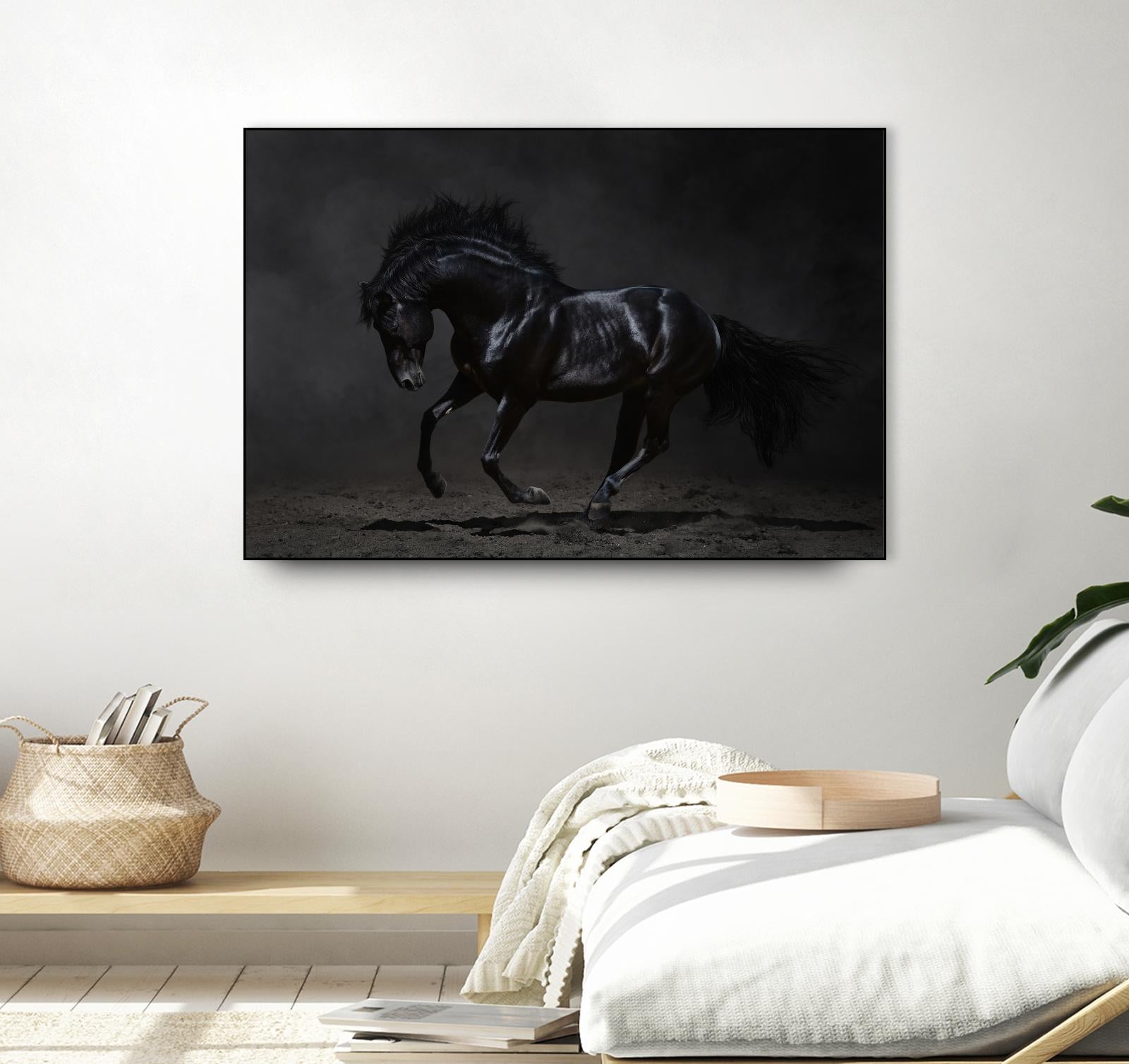 Onyx by PhotoINC Studio on GIANT ART - multicolor photography; animals