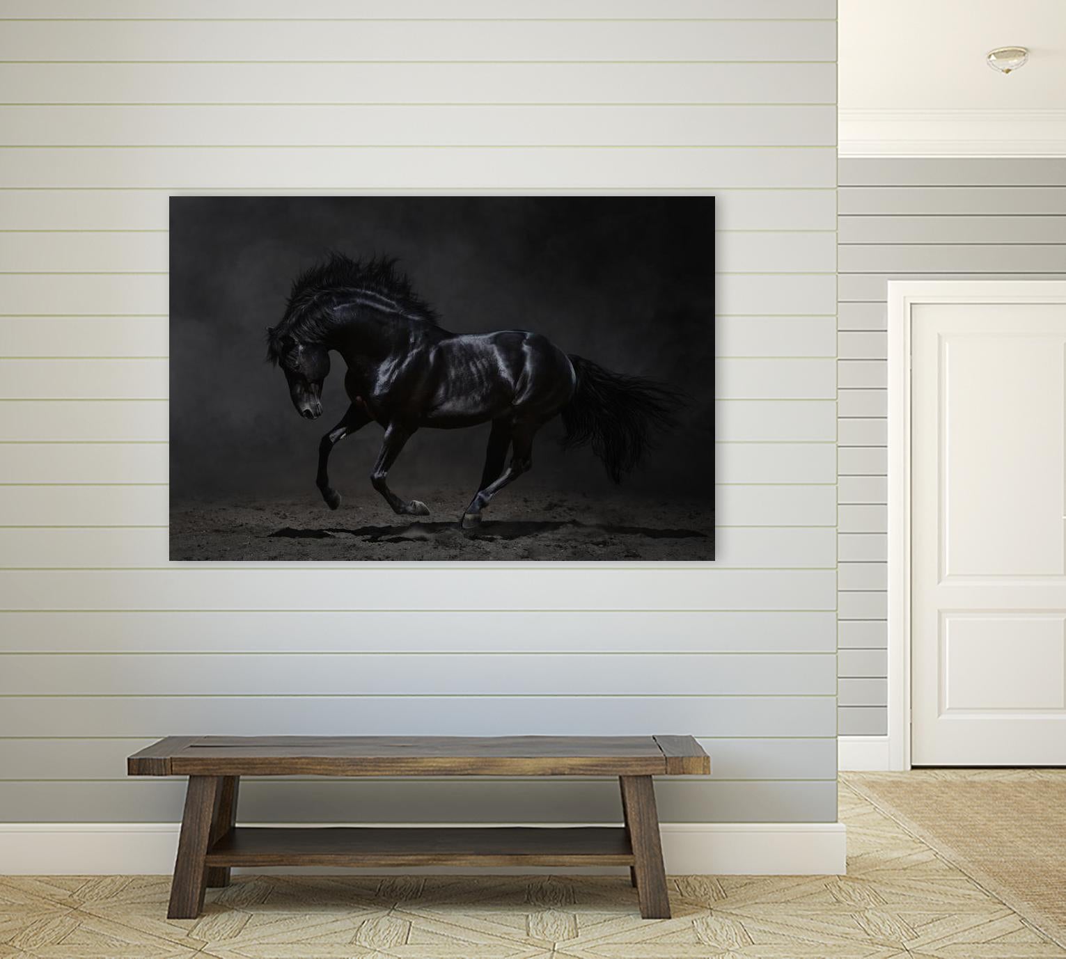 Onyx by PhotoINC Studio on GIANT ART - multicolor photography; animals