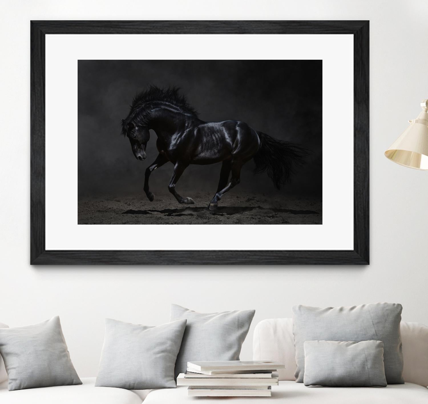 Onyx by PhotoINC Studio on GIANT ART - multicolor photography; animals
