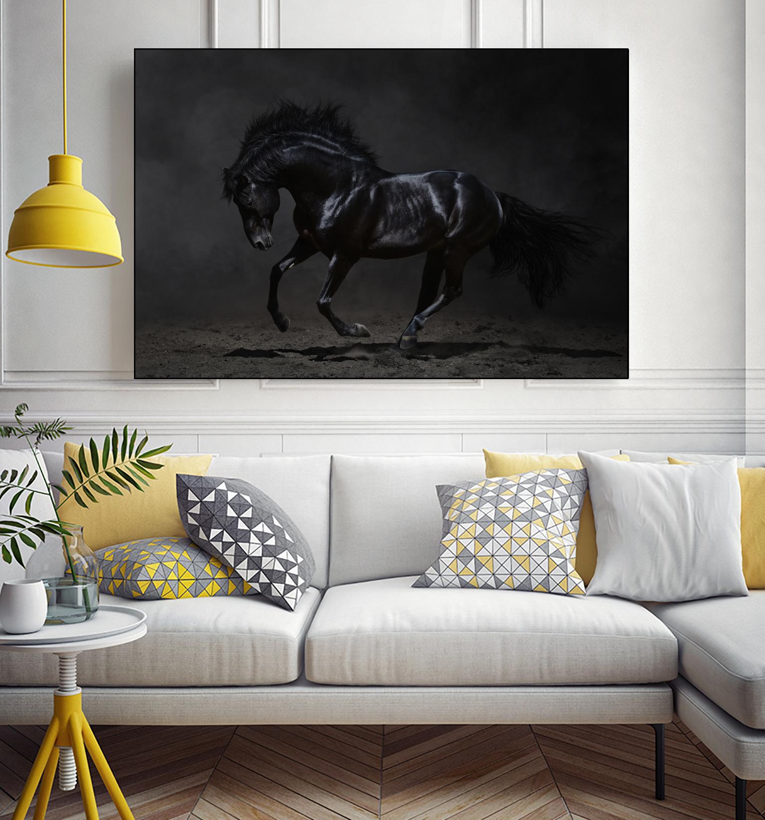 Onyx by PhotoINC Studio on GIANT ART - multicolor photography; animals
