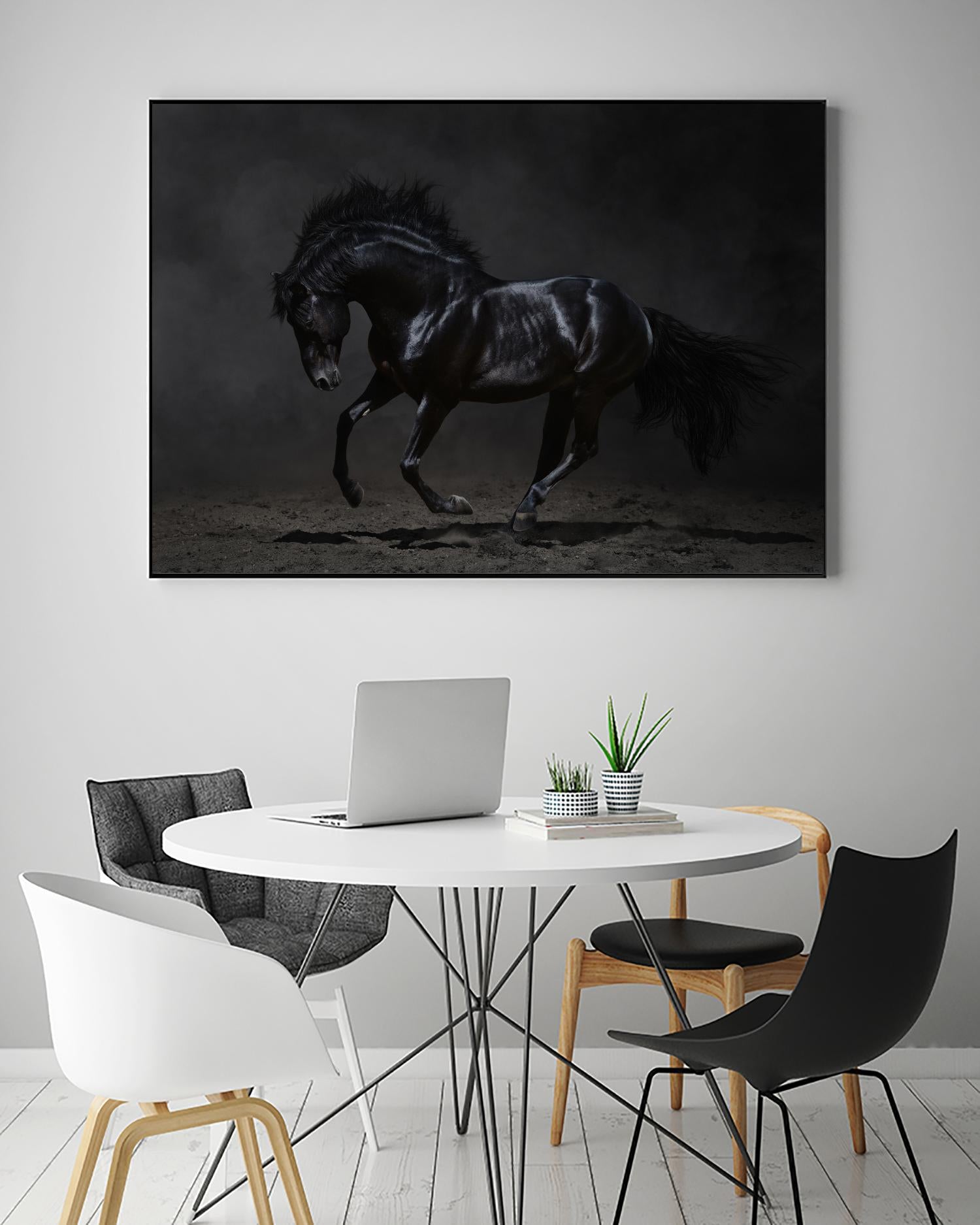 Onyx by PhotoINC Studio on GIANT ART - multicolor photography; animals