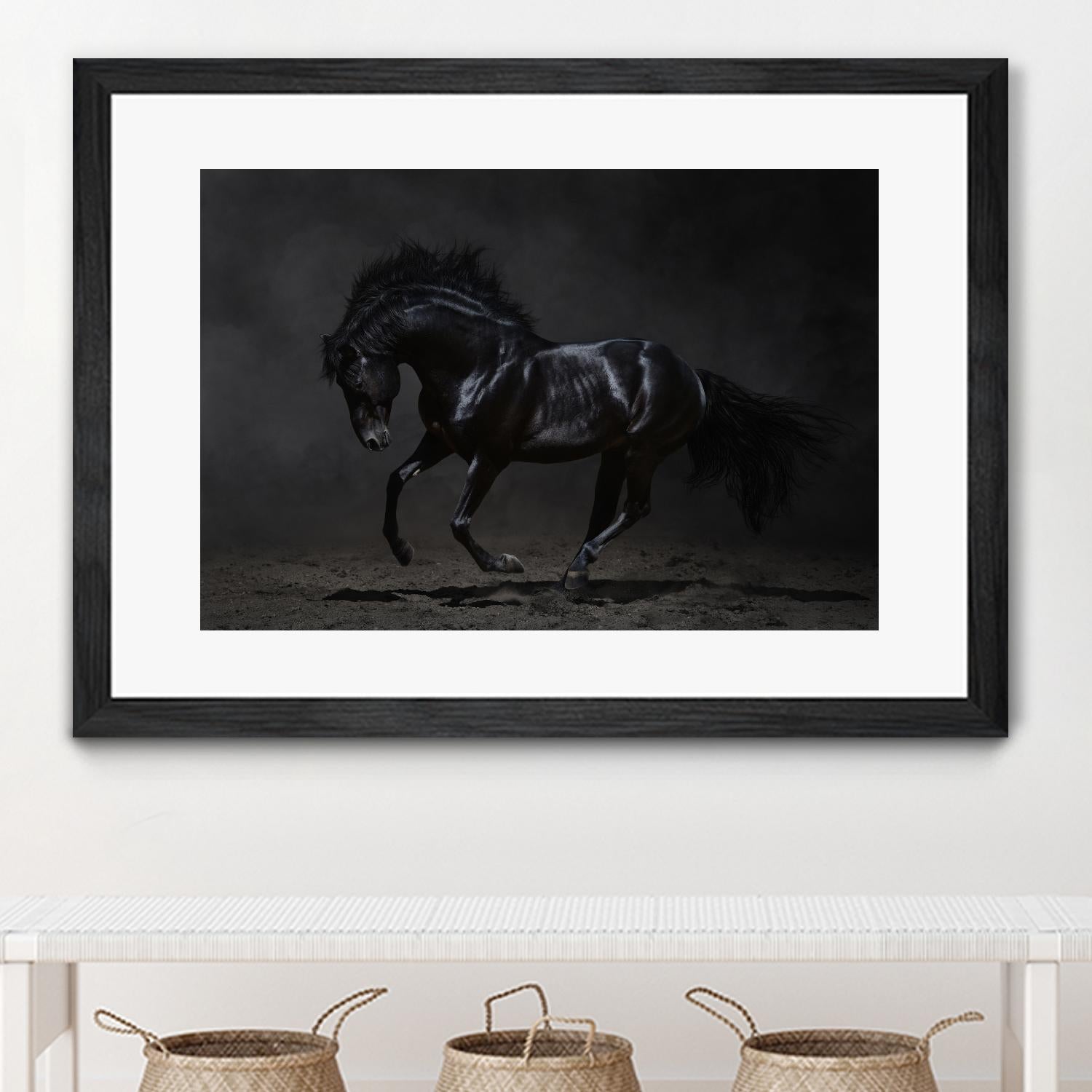 Onyx by PhotoINC Studio on GIANT ART - multicolor photography; animals