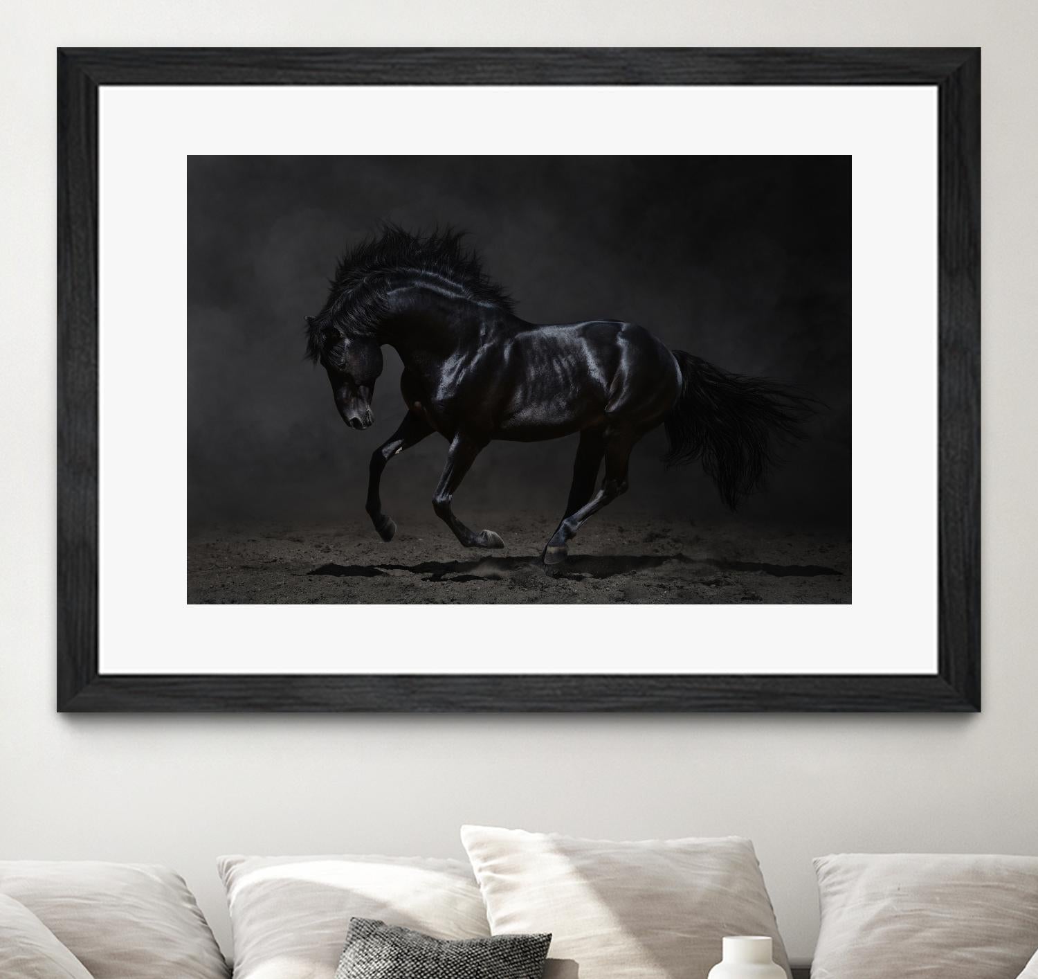 Onyx by PhotoINC Studio on GIANT ART - multicolor photography; animals