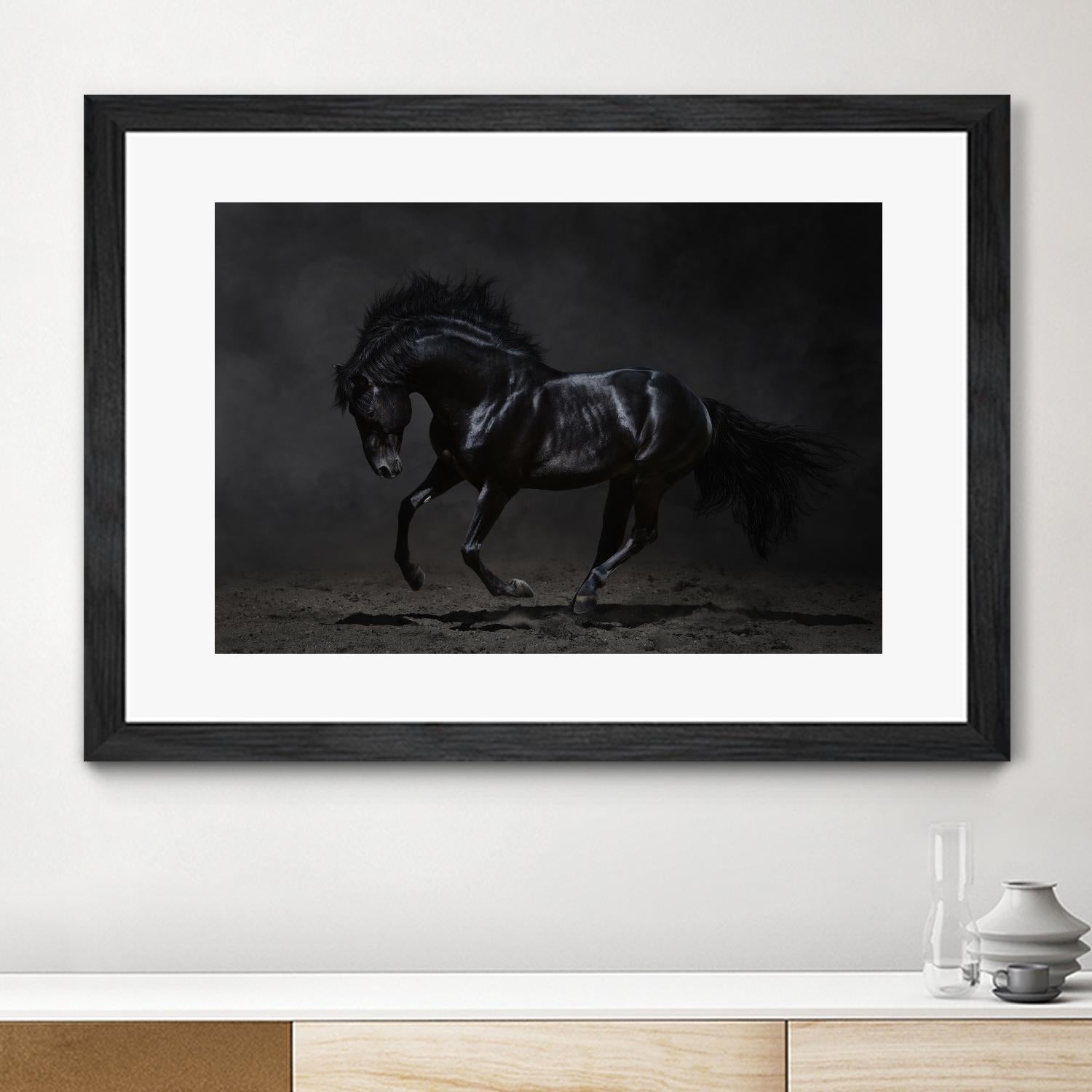Onyx by PhotoINC Studio on GIANT ART - multicolor photography; animals