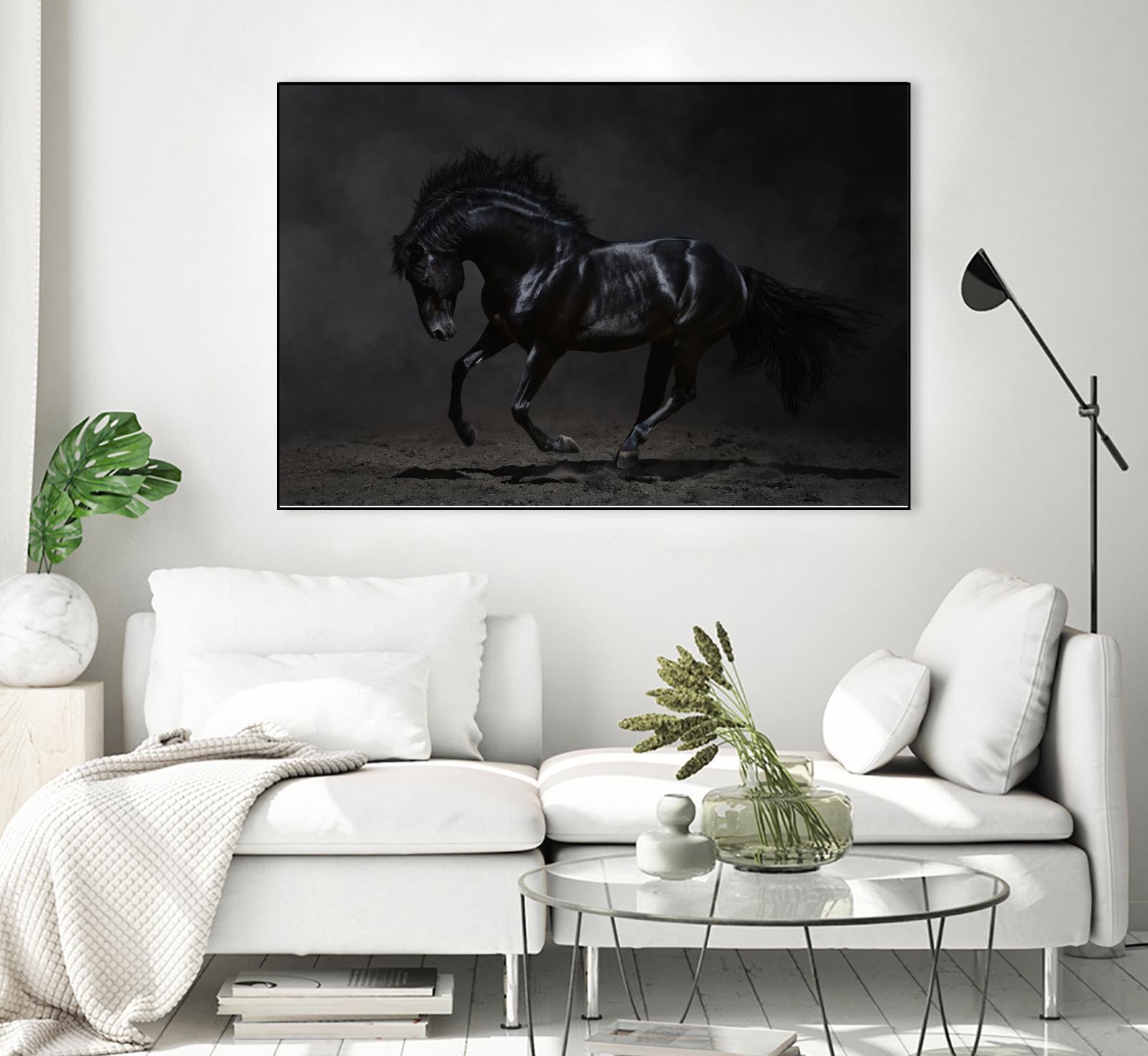 Onyx by PhotoINC Studio on GIANT ART - multicolor photography; animals