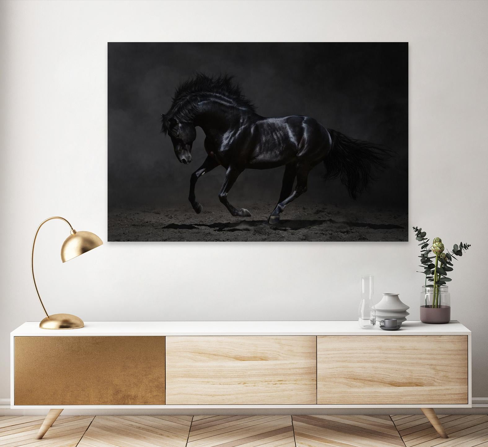 Onyx by PhotoINC Studio on GIANT ART - multicolor photography; animals