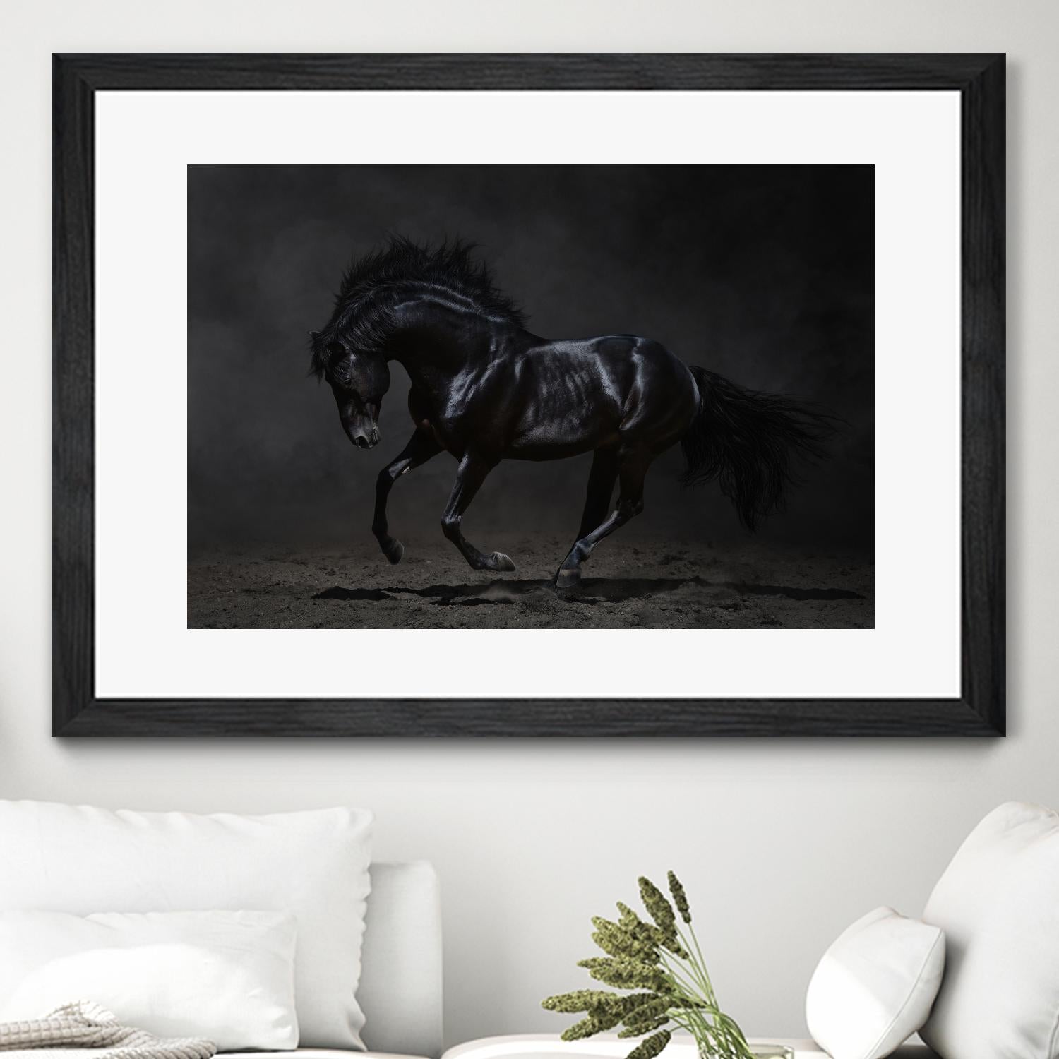 Onyx by PhotoINC Studio on GIANT ART - multicolor photography; animals